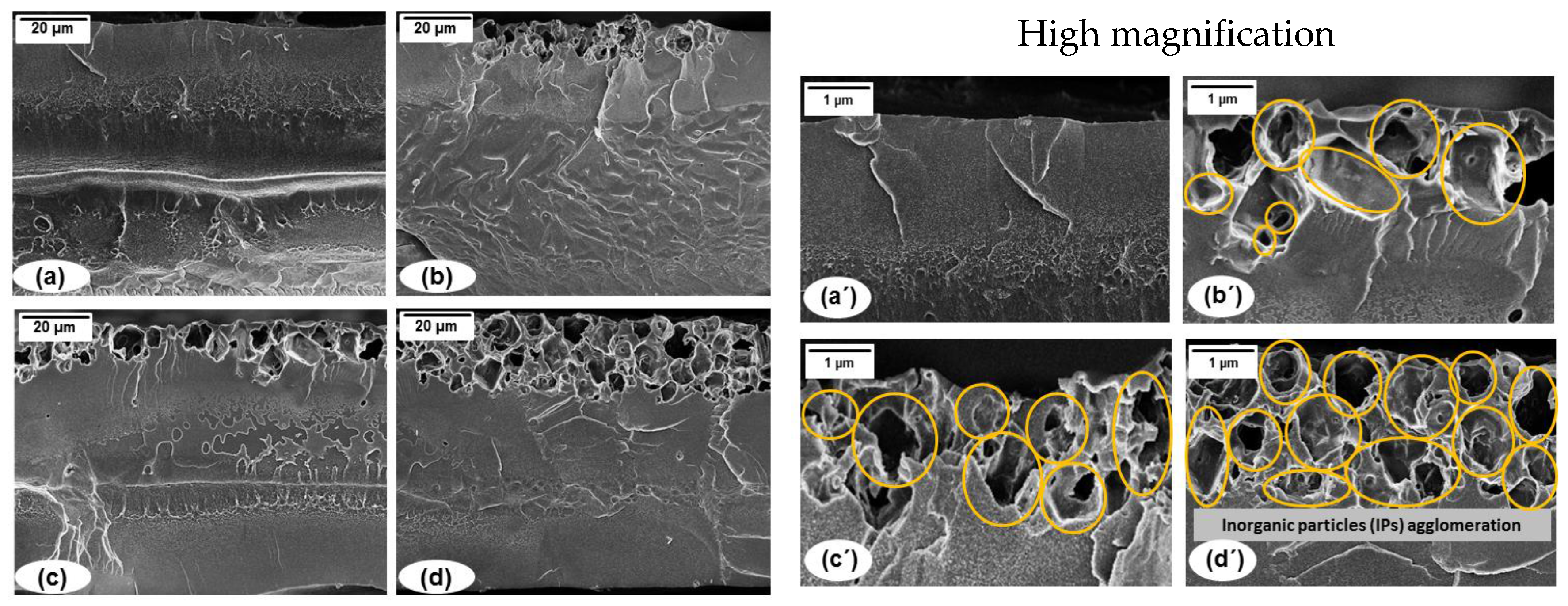 Membranes 08 00001 g007
