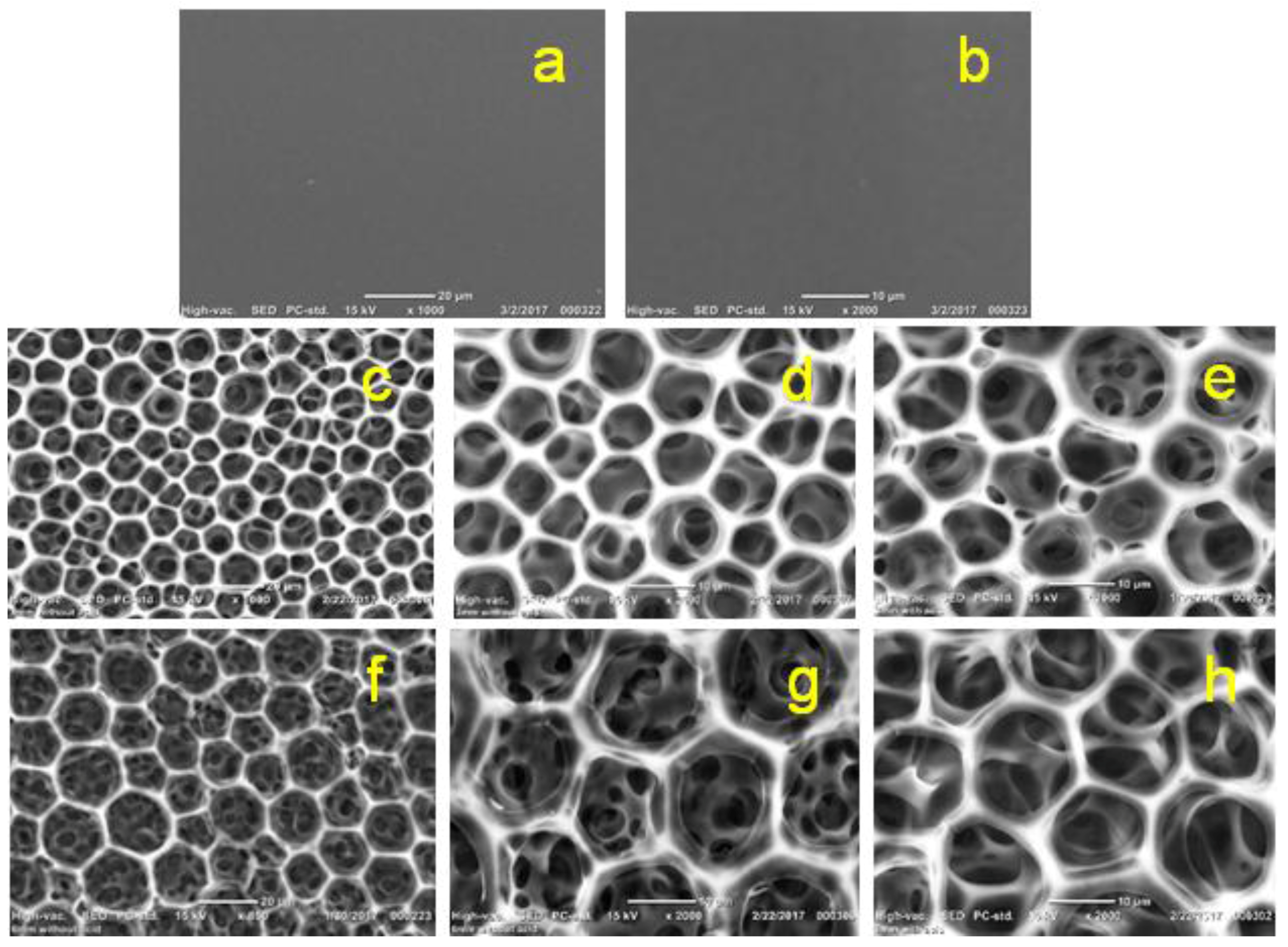 Membranes 08 00002 g012