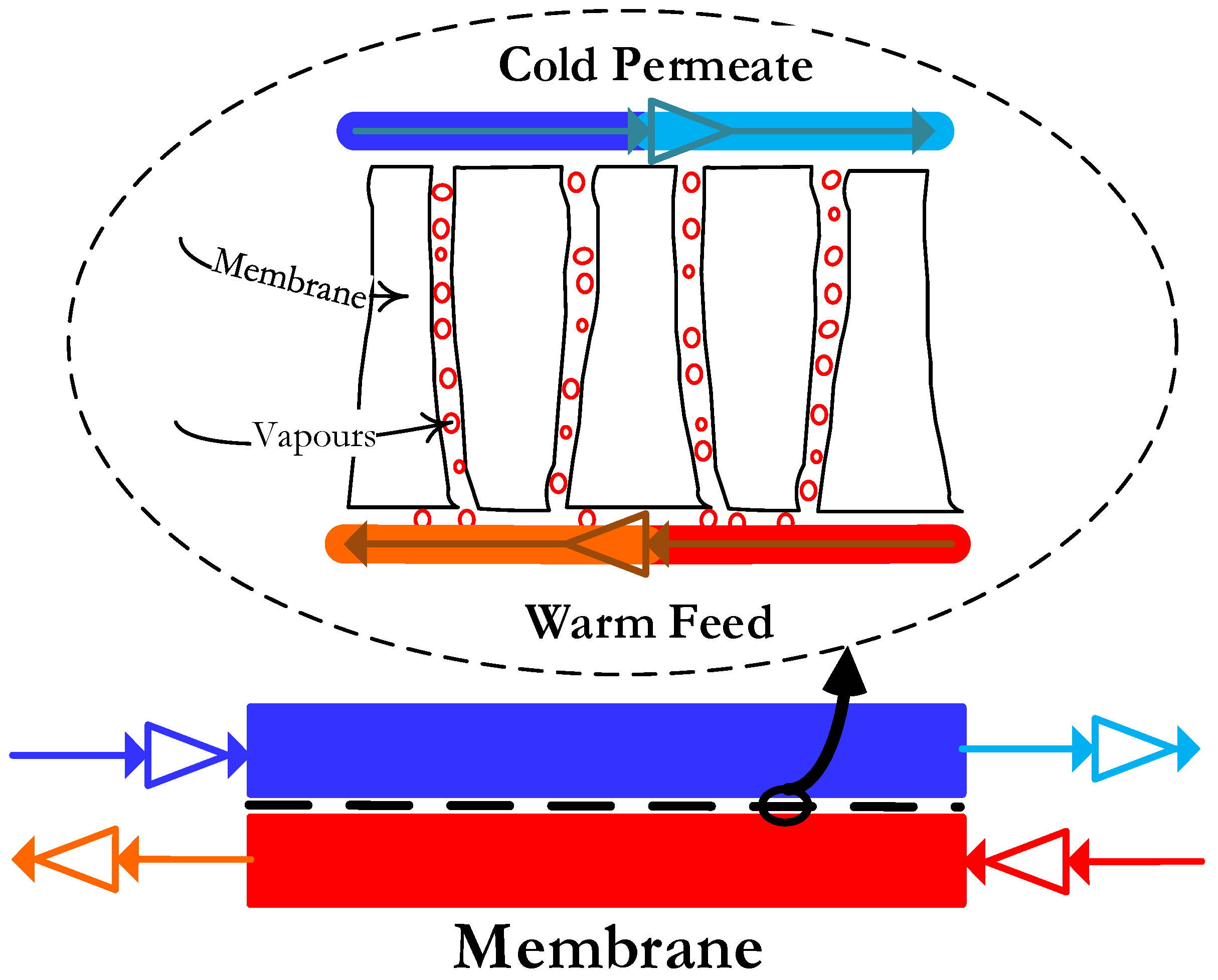 Membranes 08 00013 g004