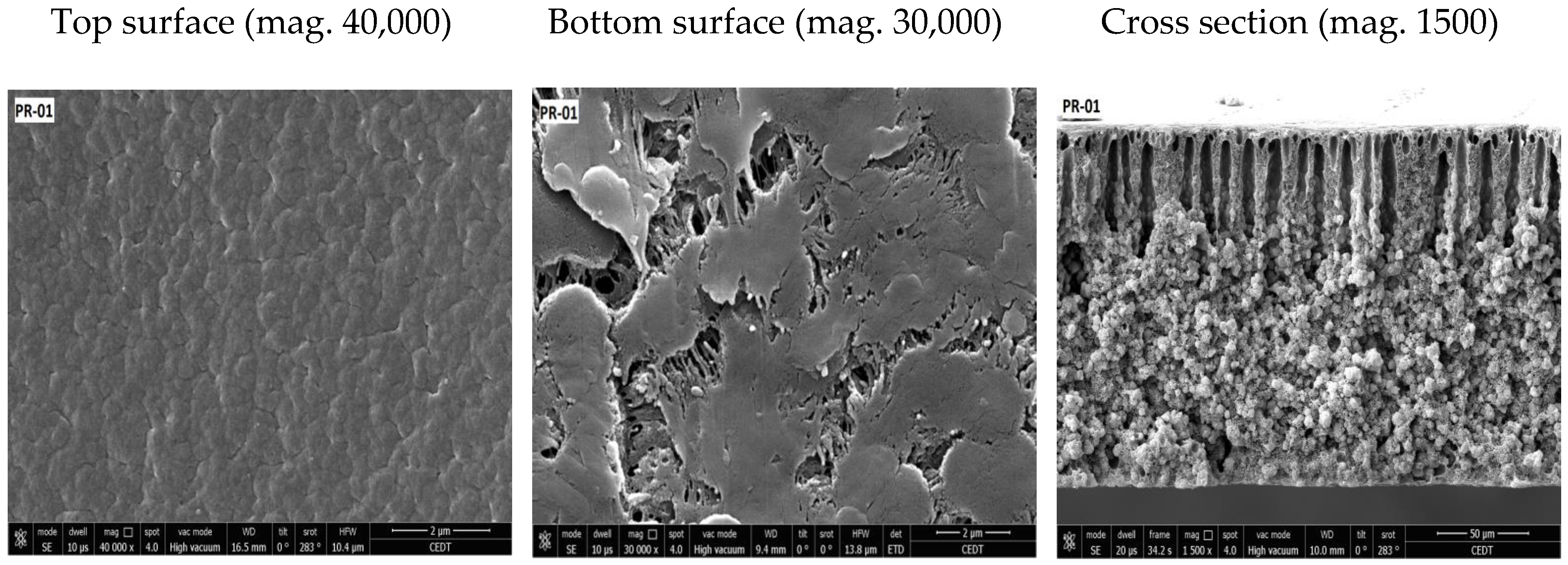 Membranes 08 00013 g008a
