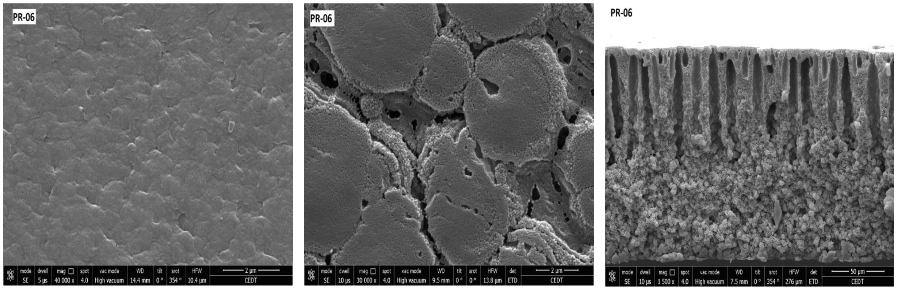Membranes 08 00013 g009b