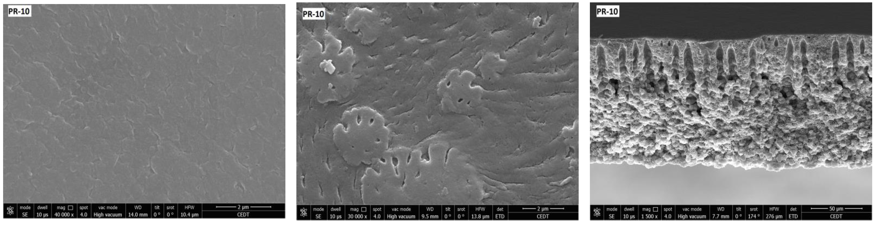 Membranes 08 00013 g010b