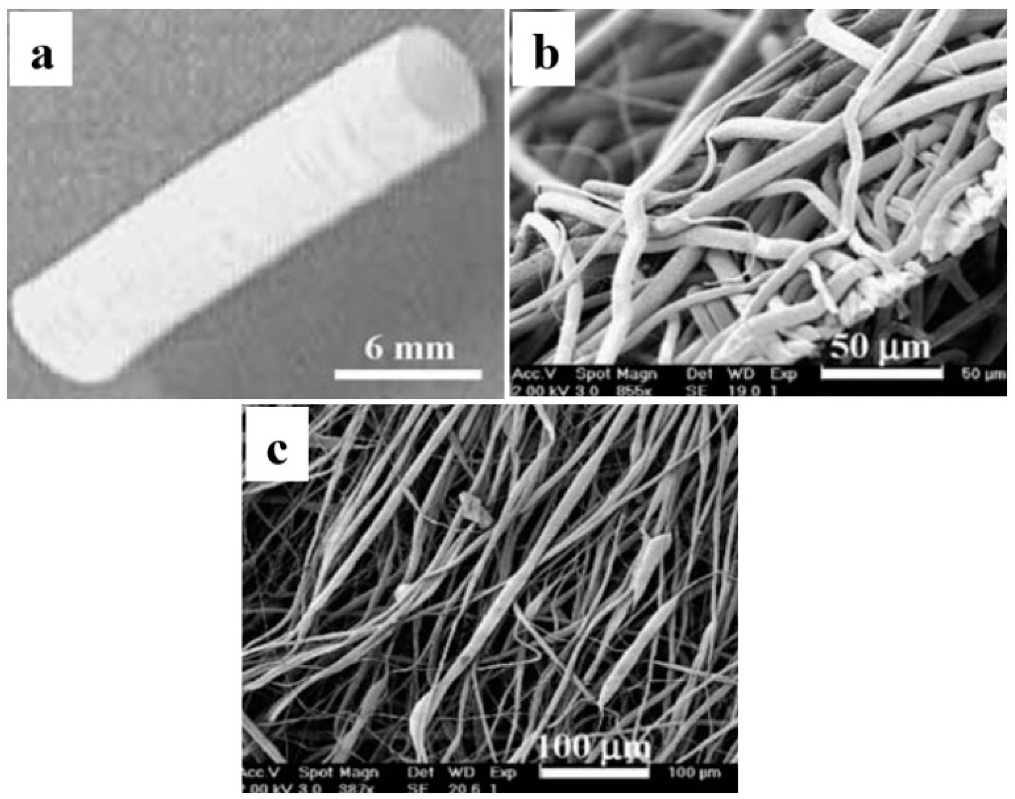 Membranes 08 00015 g003