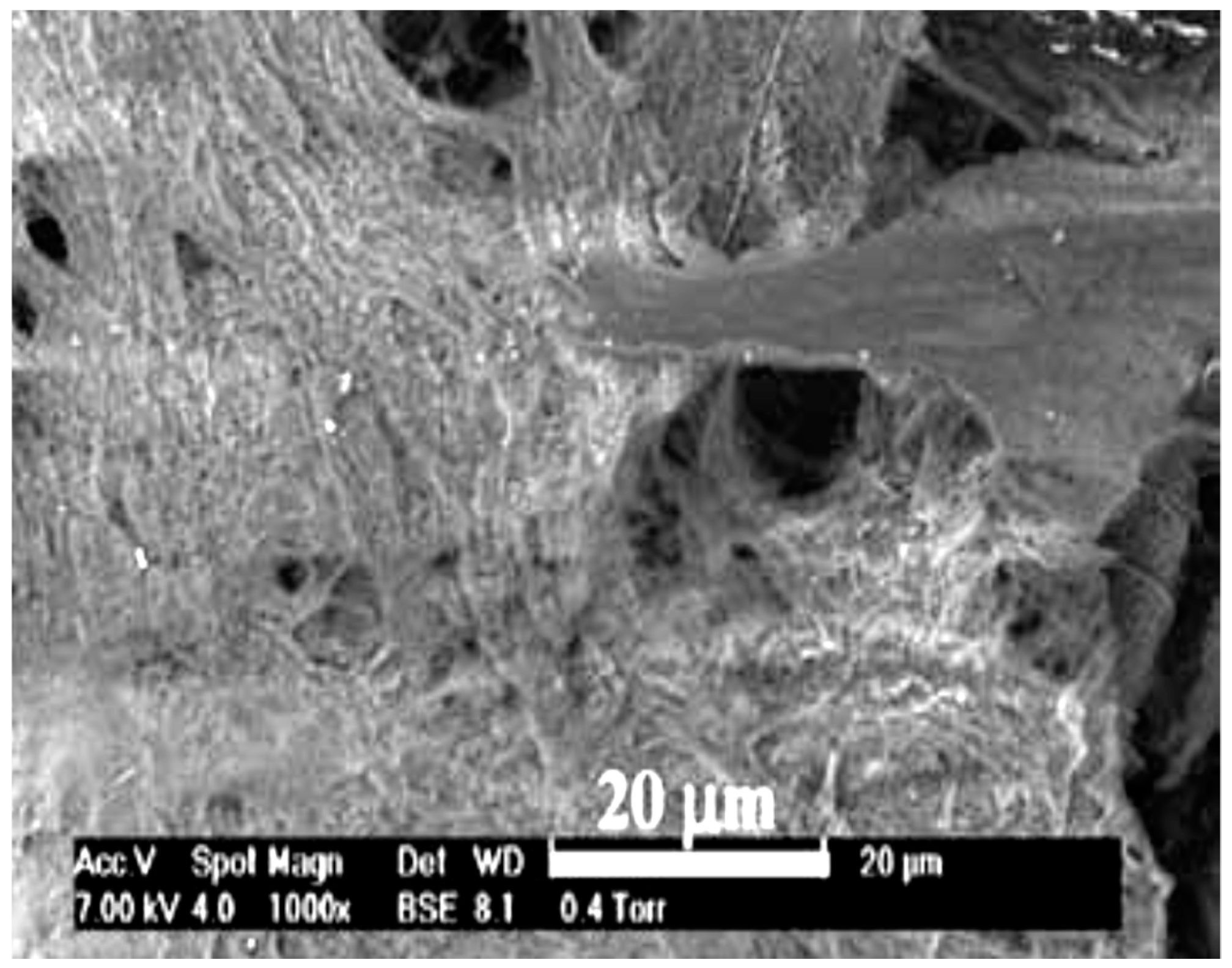 Membranes 08 00015 g008