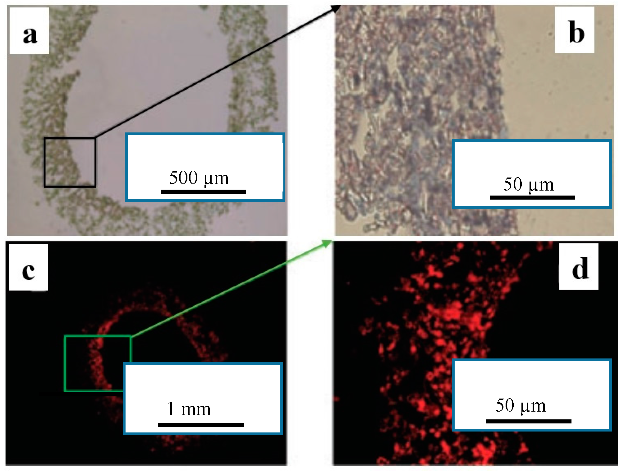 Membranes 08 00015 g009
