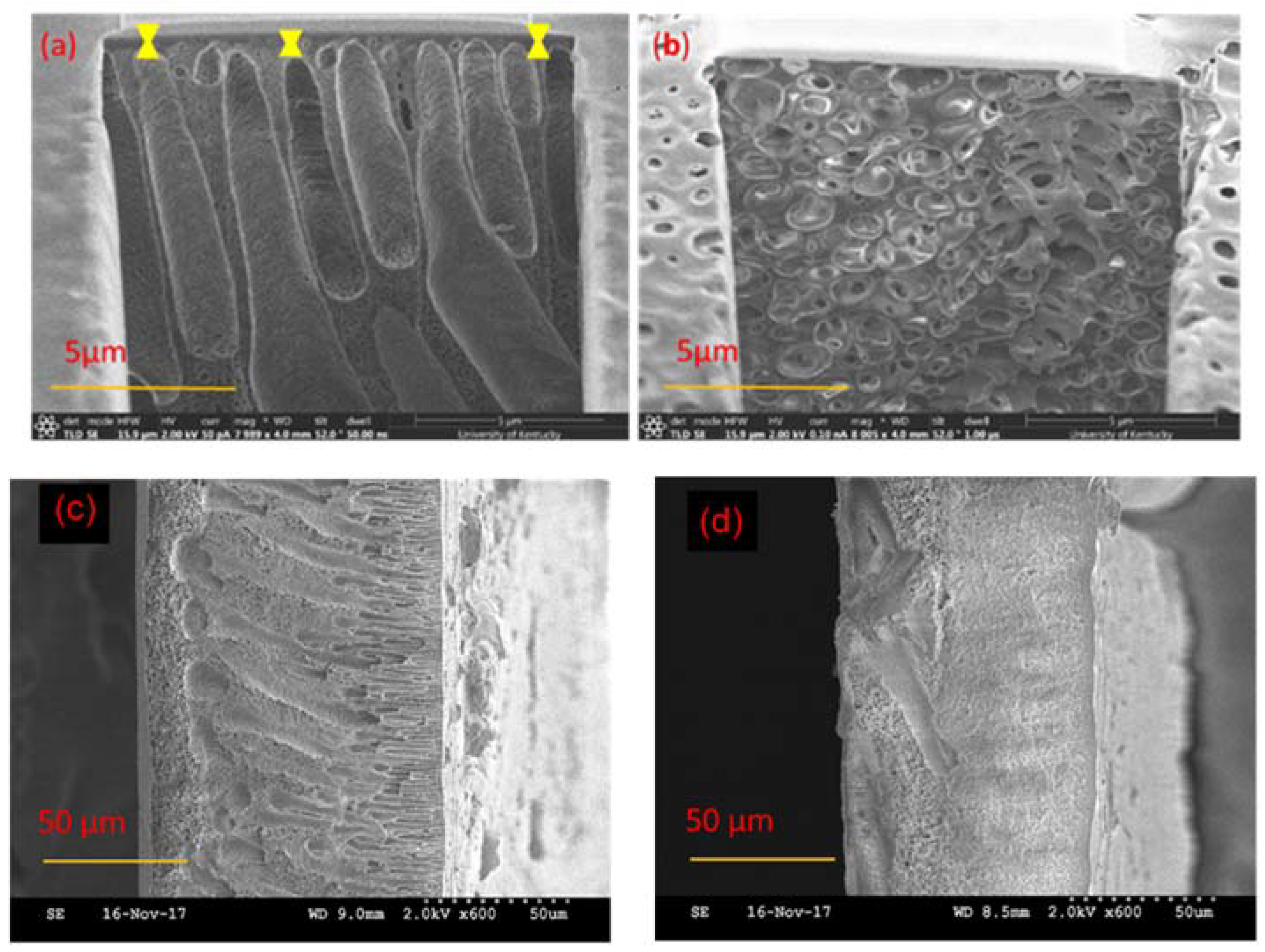 Membranes 08 00023 g007