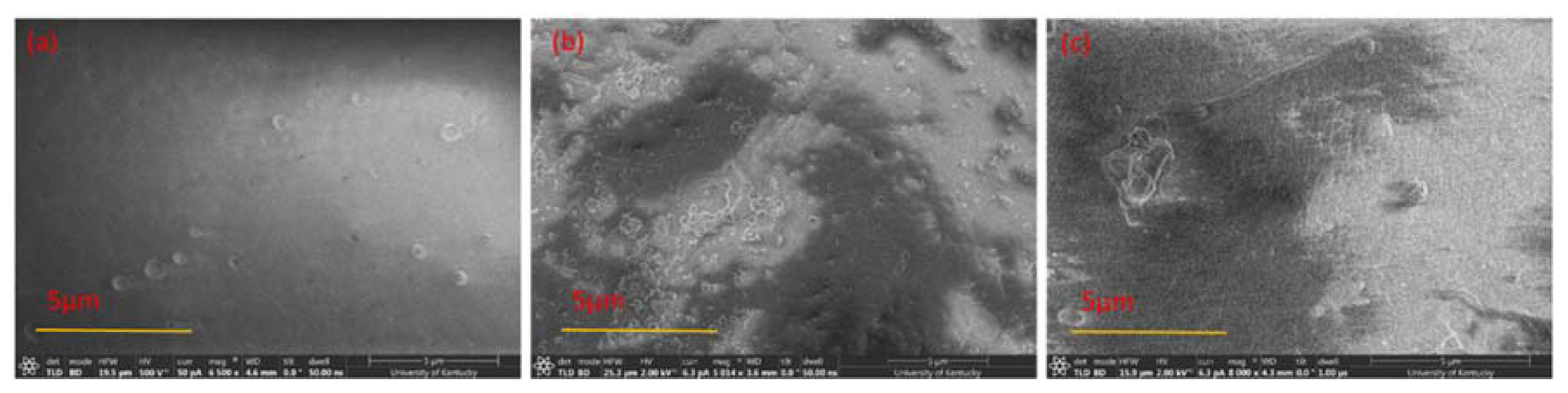 Membranes 08 00023 g009