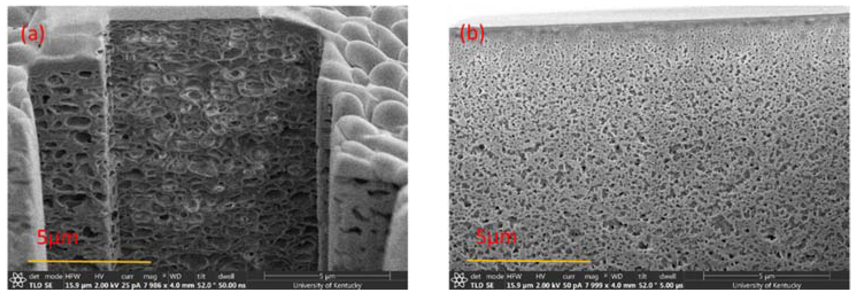 Membranes 08 00023 g010