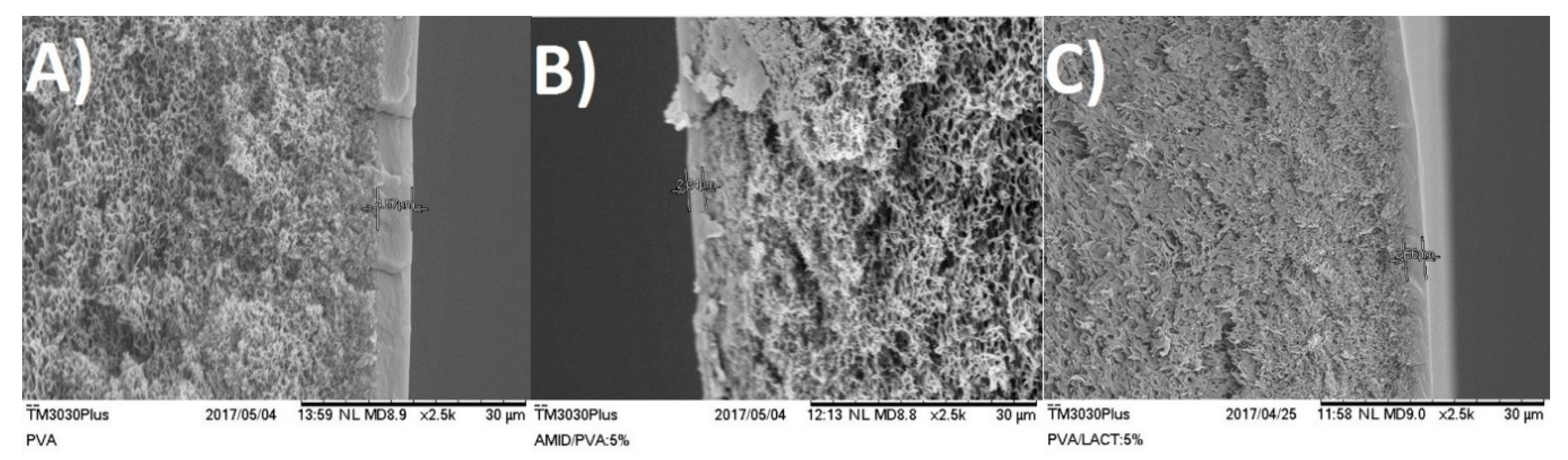 Membranes 08 00028 g002