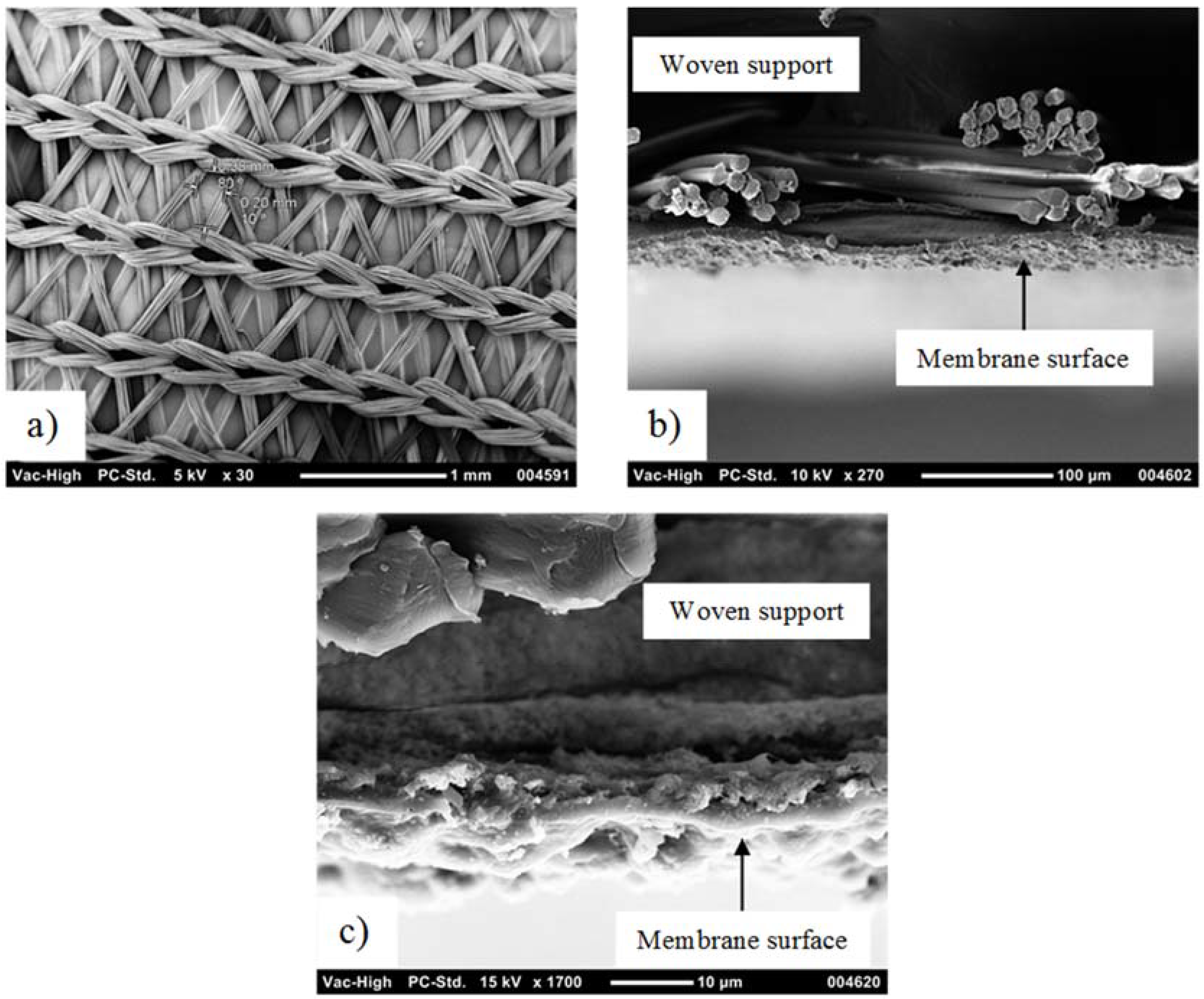 Membranes 08 00031 g003