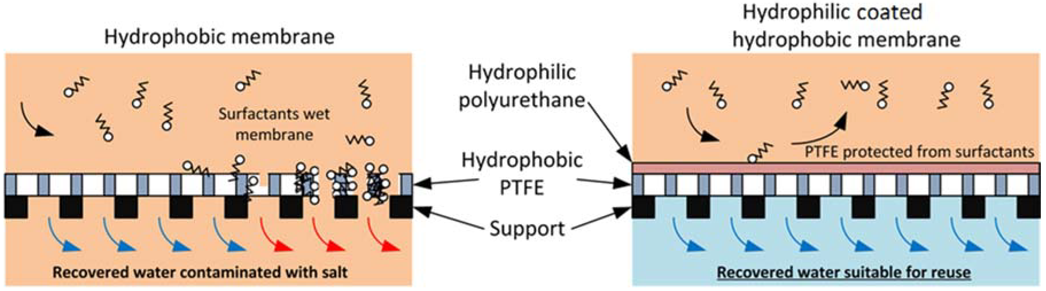 Membranes 08 00031 g010