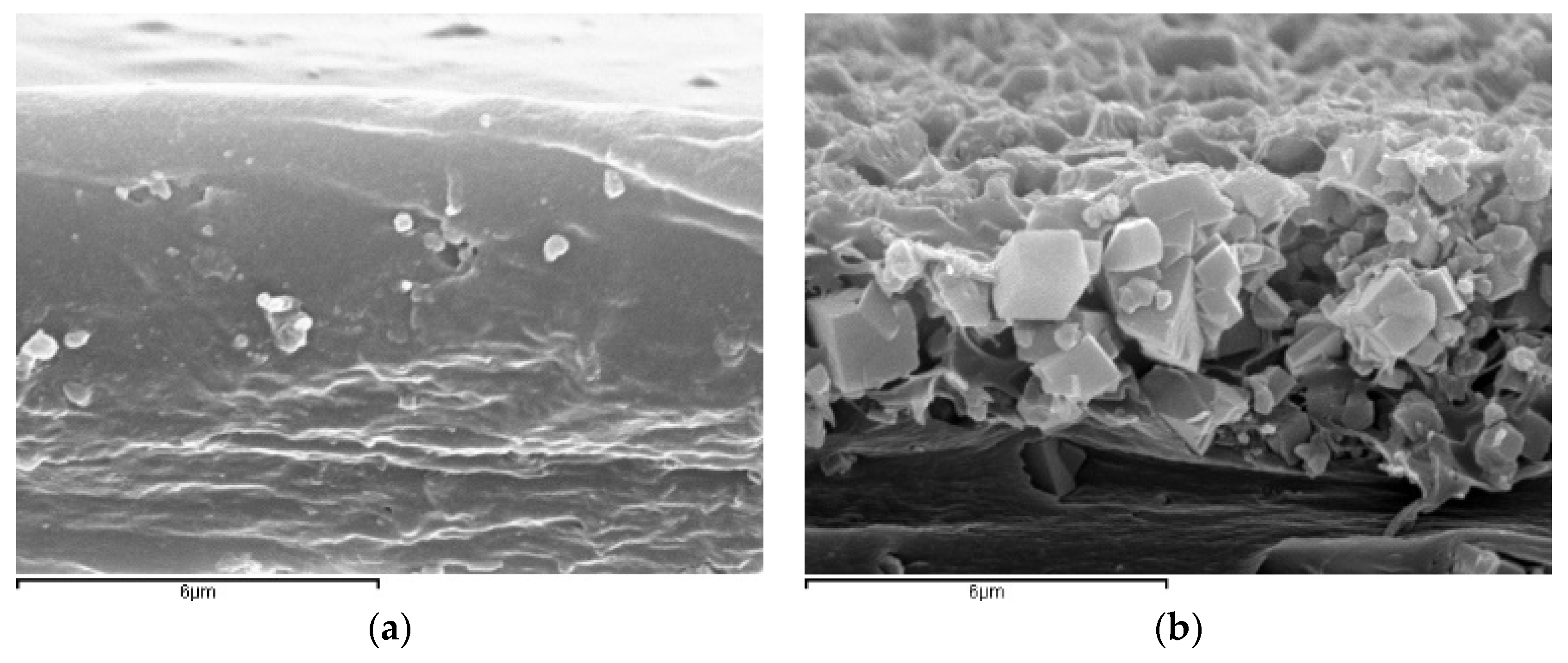 Membranes 08 00032 g001a Membranes 08 00032 g001a