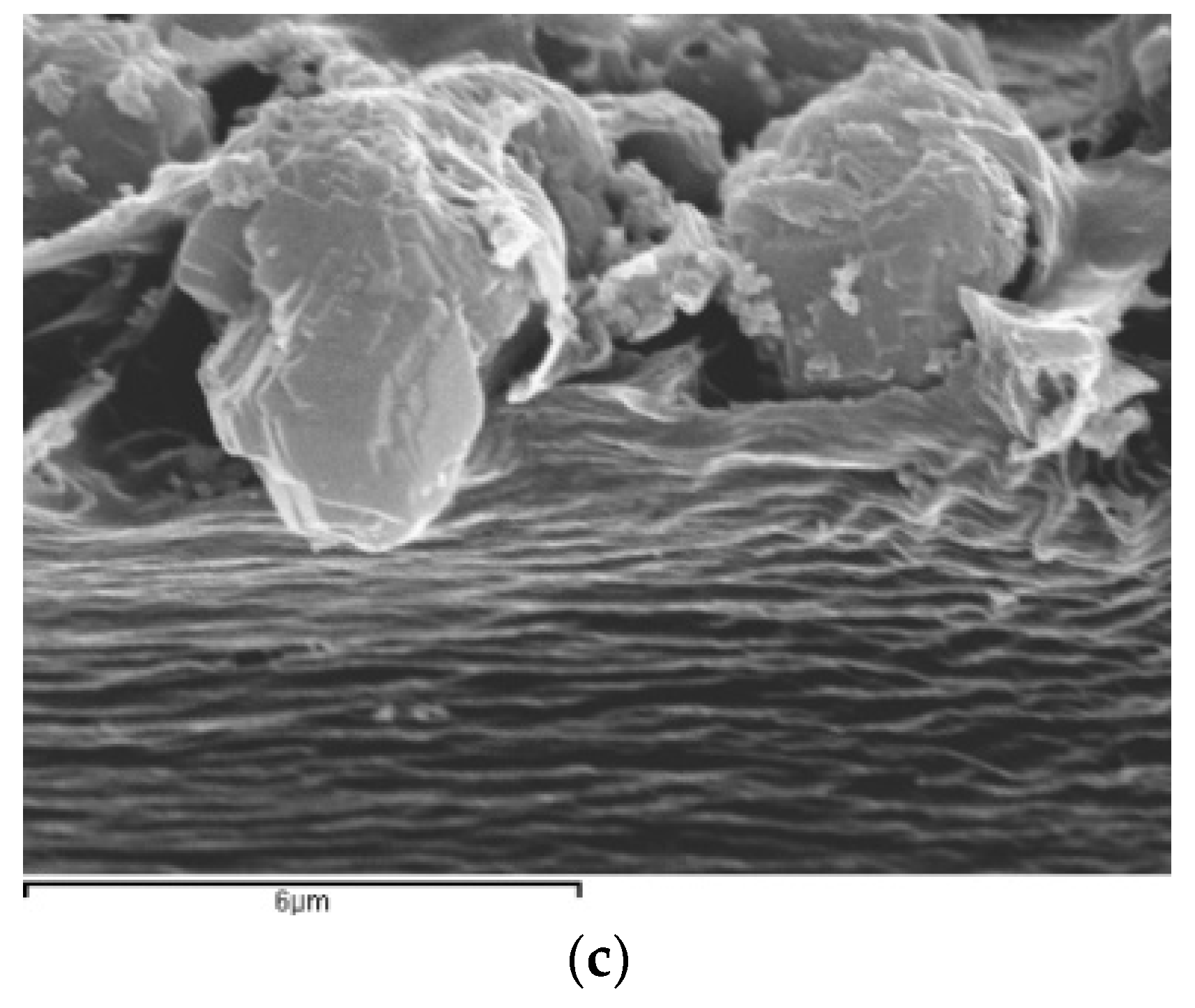 Membranes 08 00032 g001b Membranes 08 00032 g001b