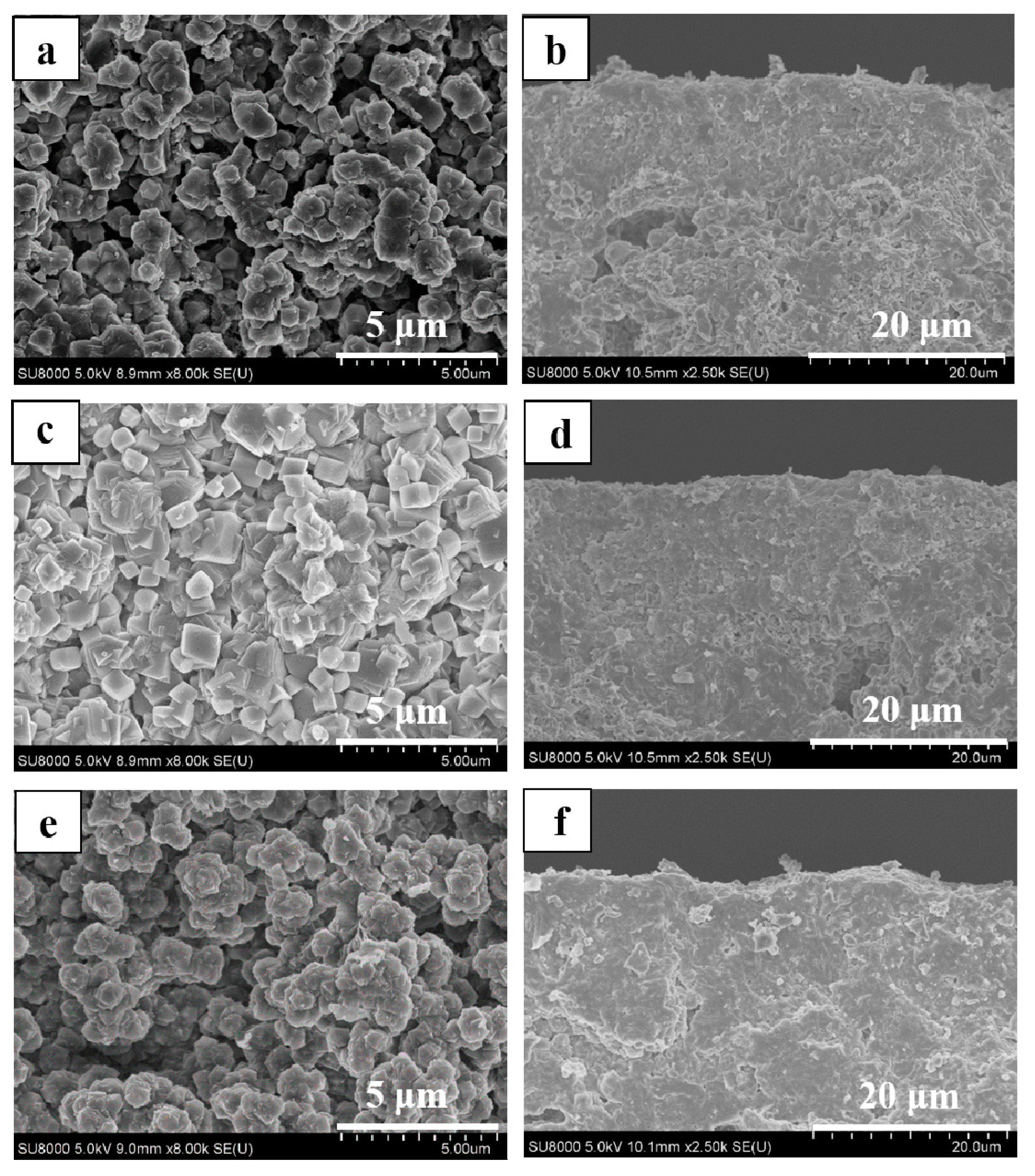 Membranes 08 00043 g003