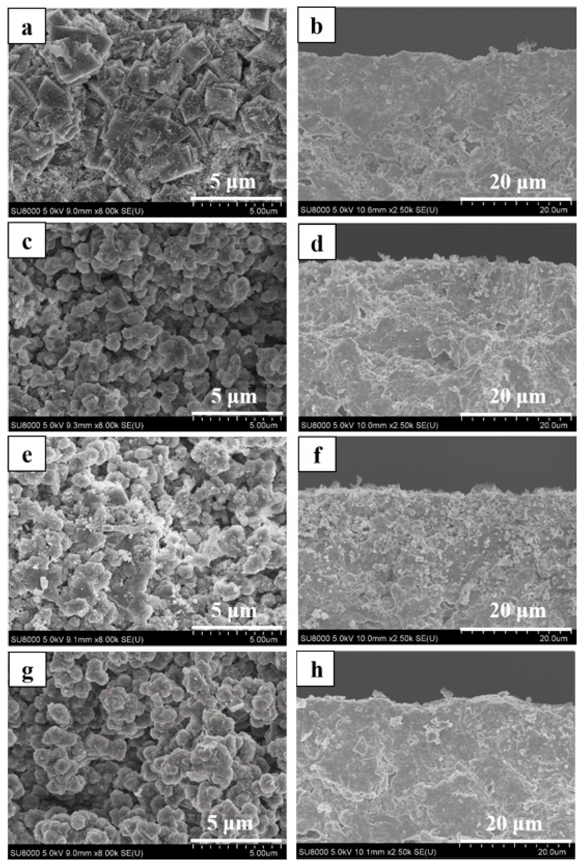 Membranes 08 00043 g005