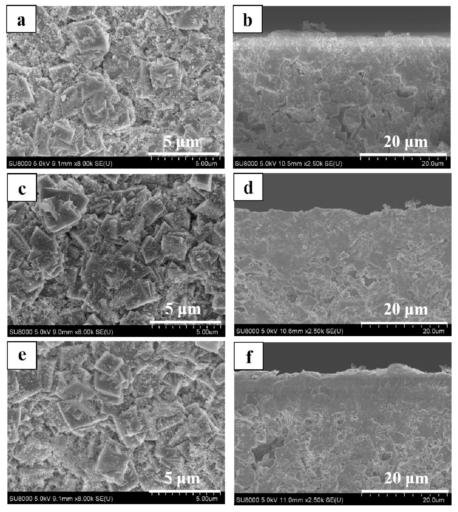 Membranes 08 00043 g007