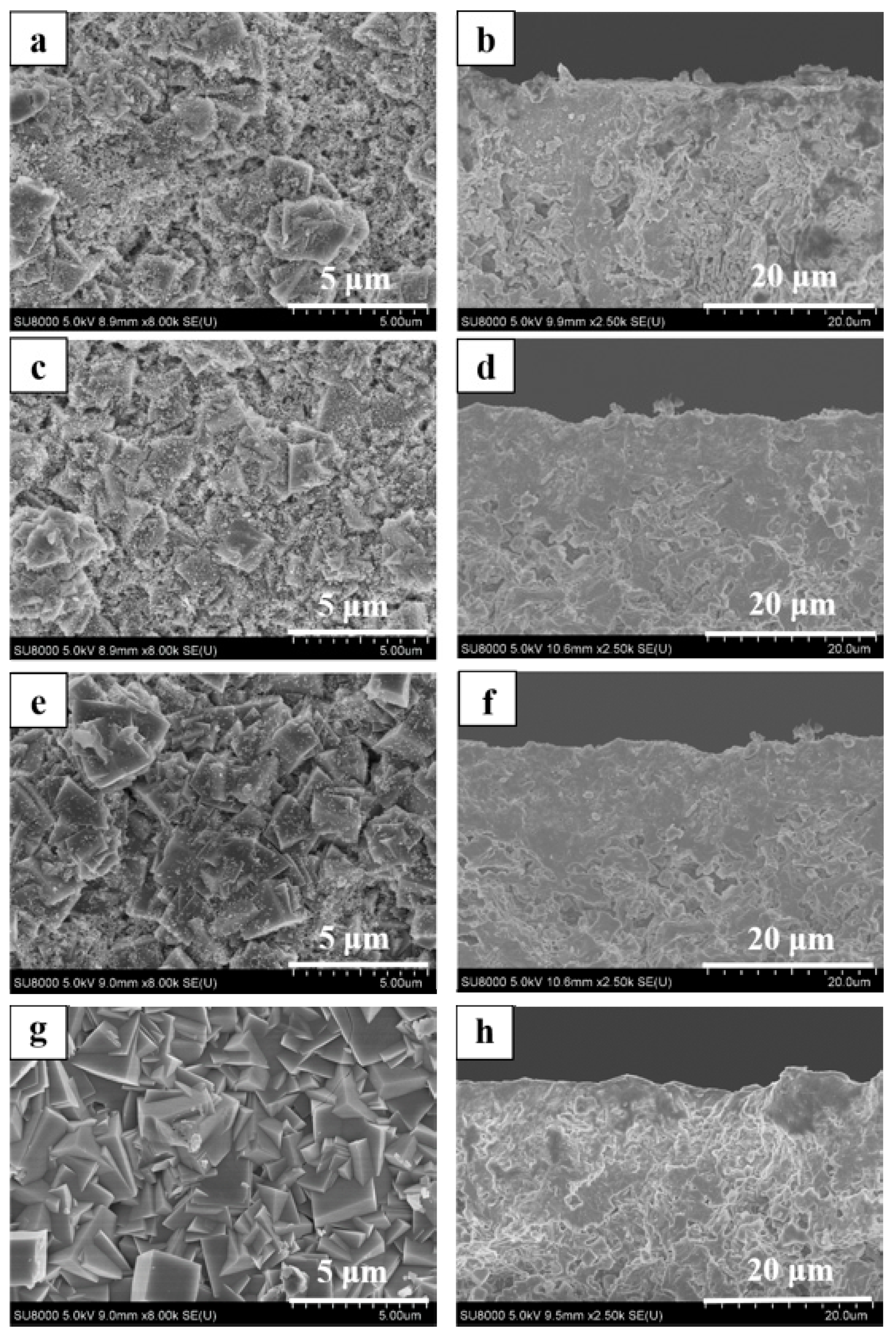 Membranes 08 00043 g009