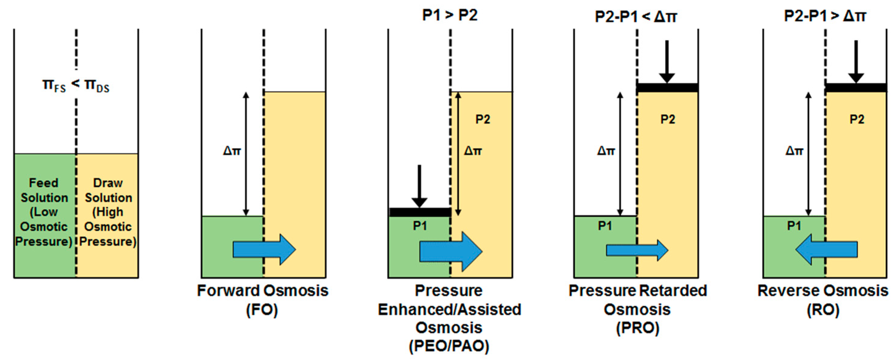 Membranes 08 00047 g003