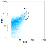 Membranes 08 00048 i036 Membranes 08 00048 i036