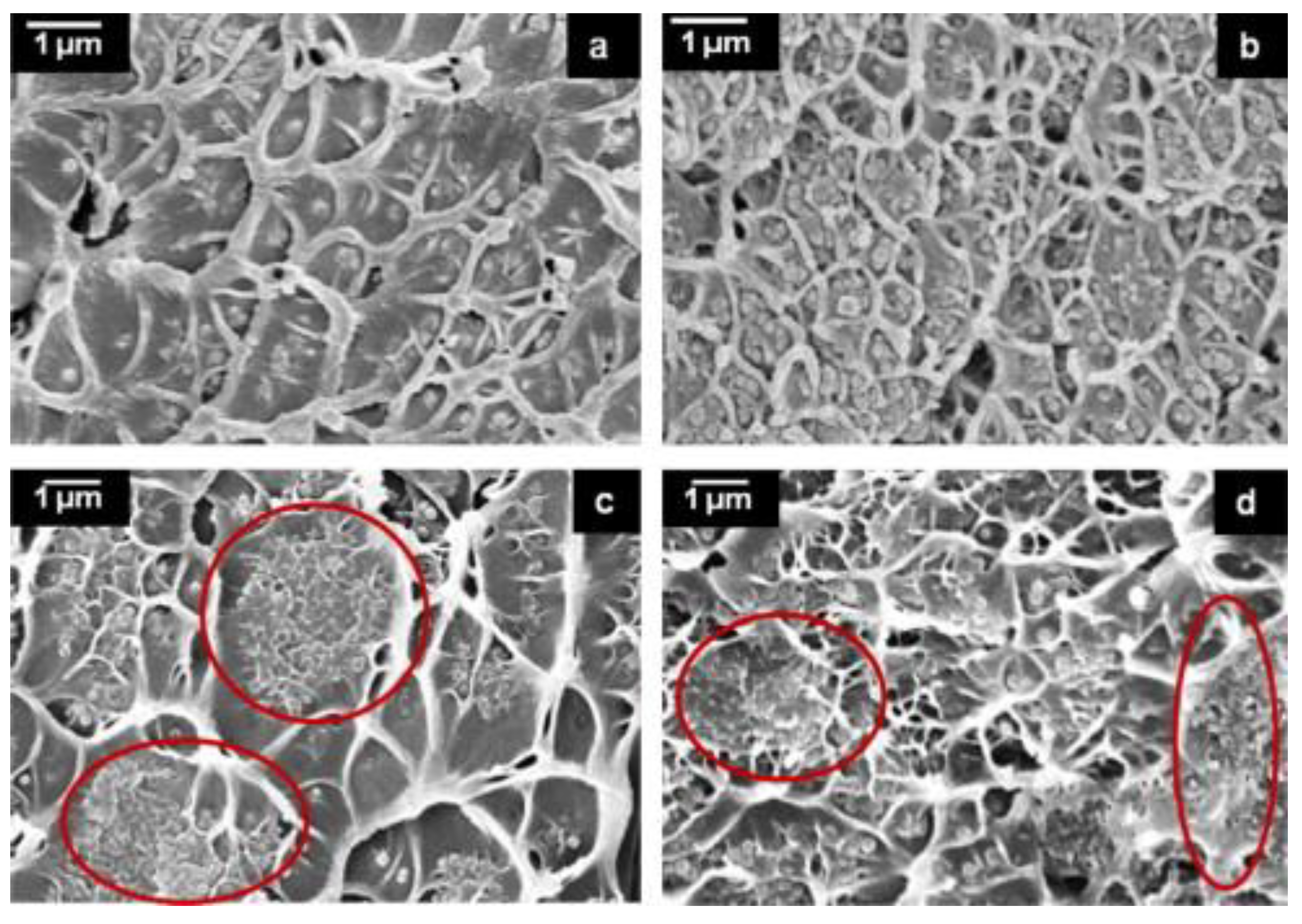 Membranes 08 00050 g002
