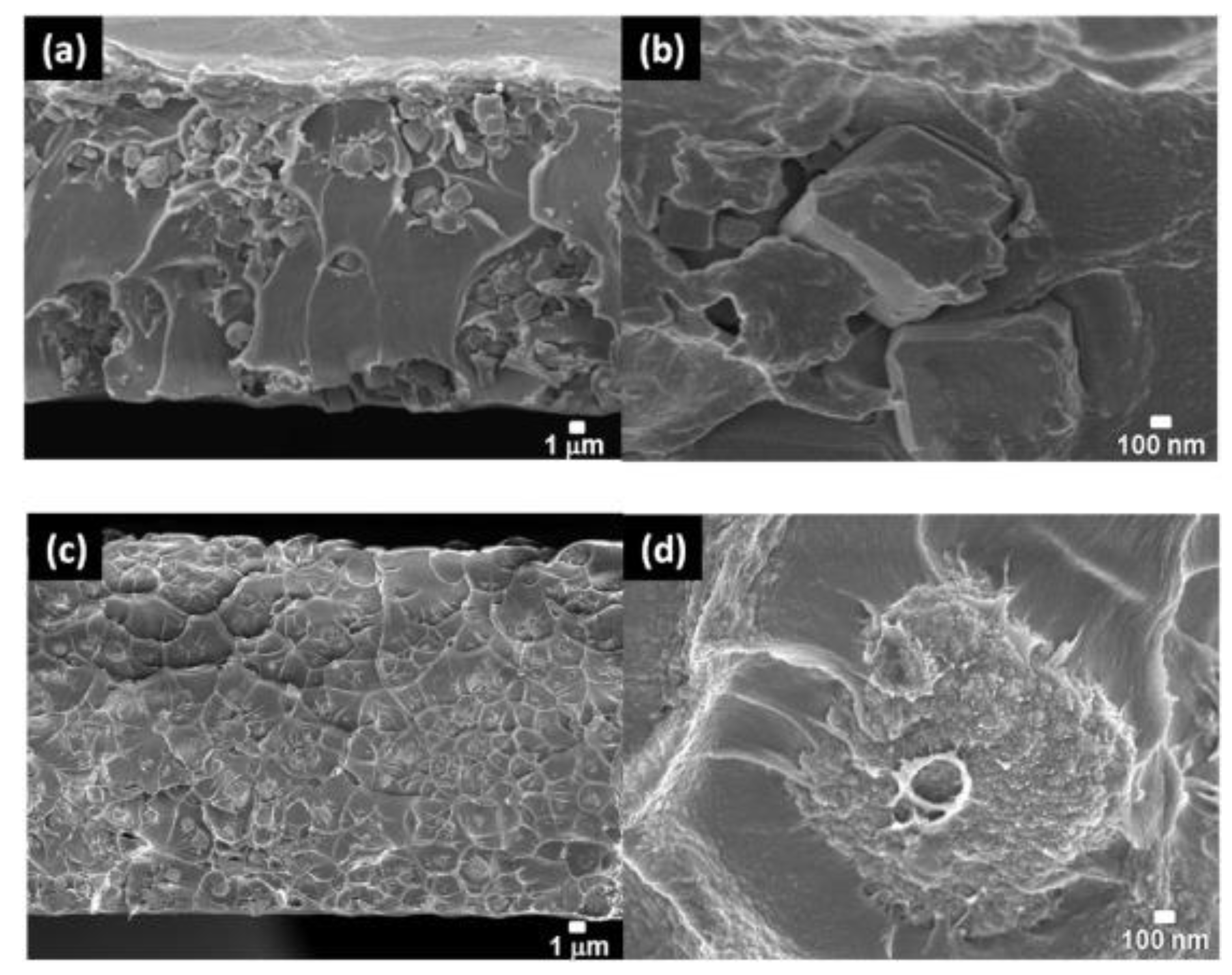 Membranes 08 00050 g009