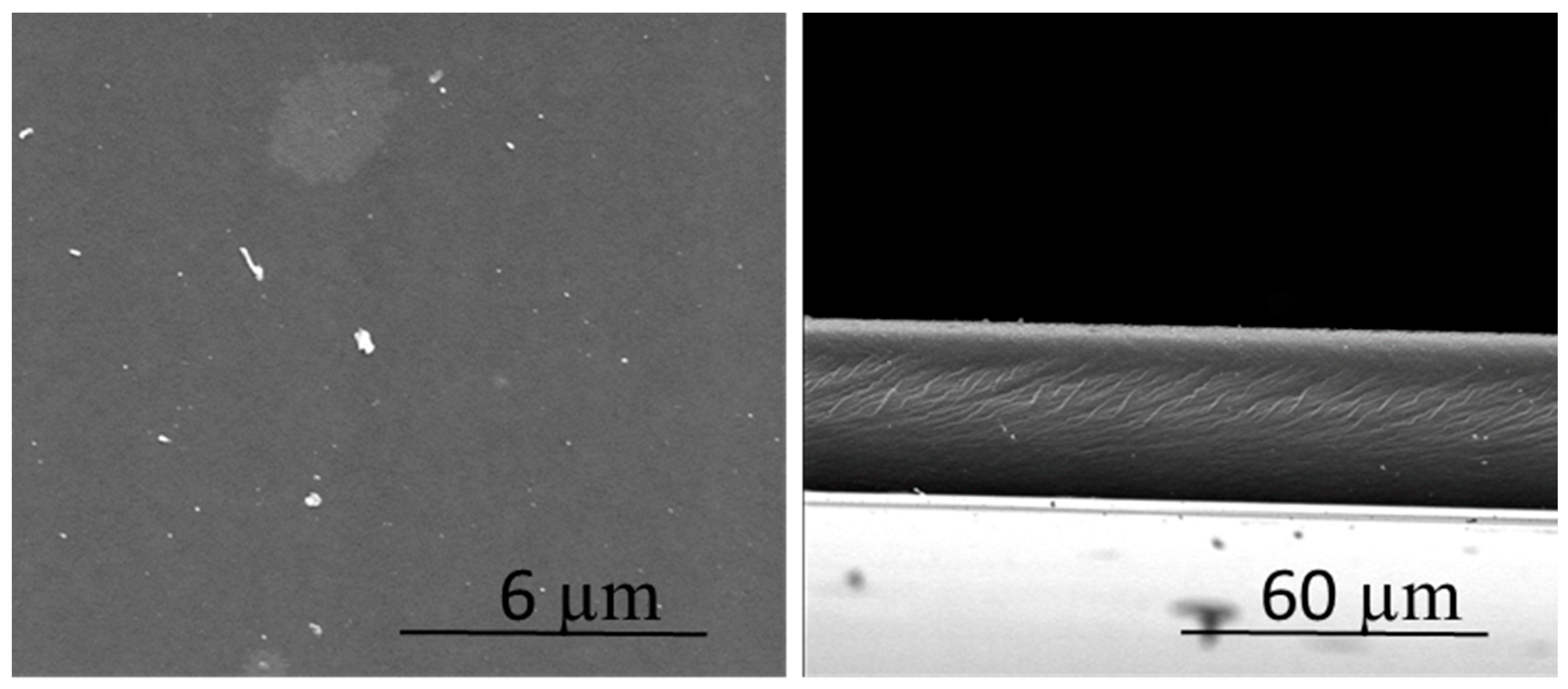 Membranes 08 00061 g001