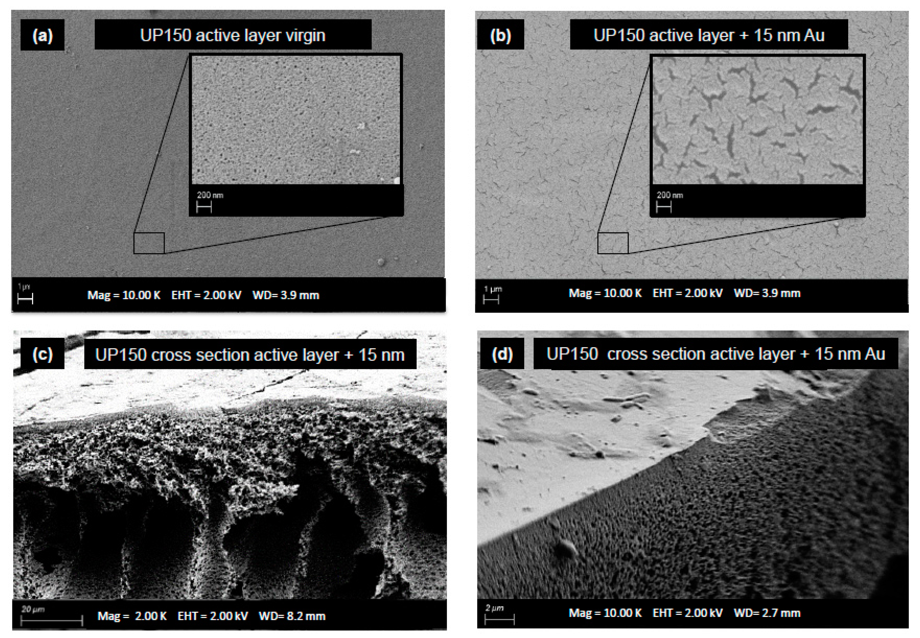 Membranes 08 00064 g003