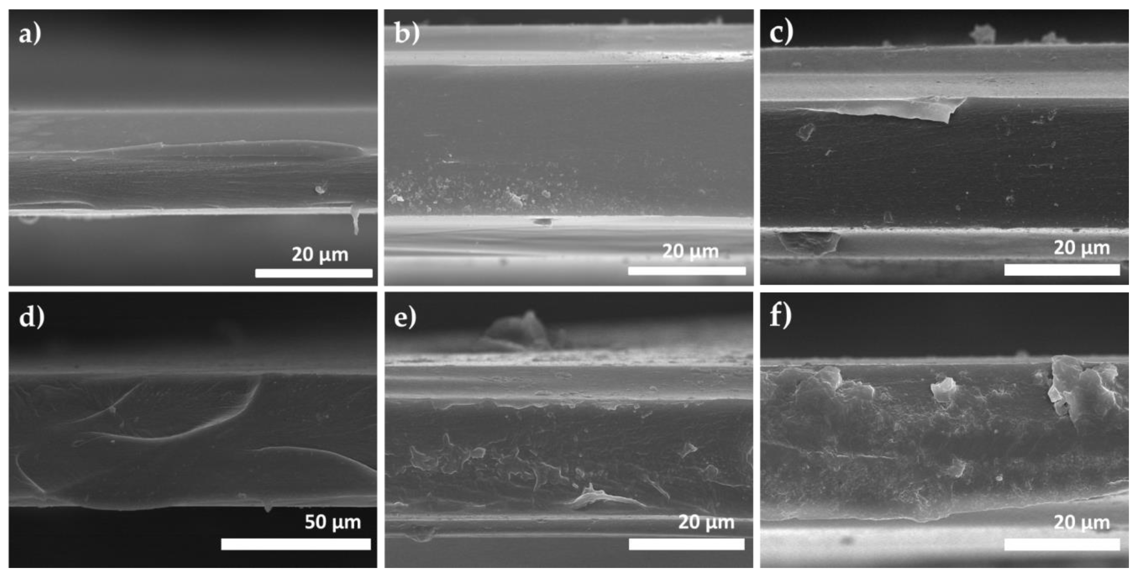 Membranes 08 00067 g006