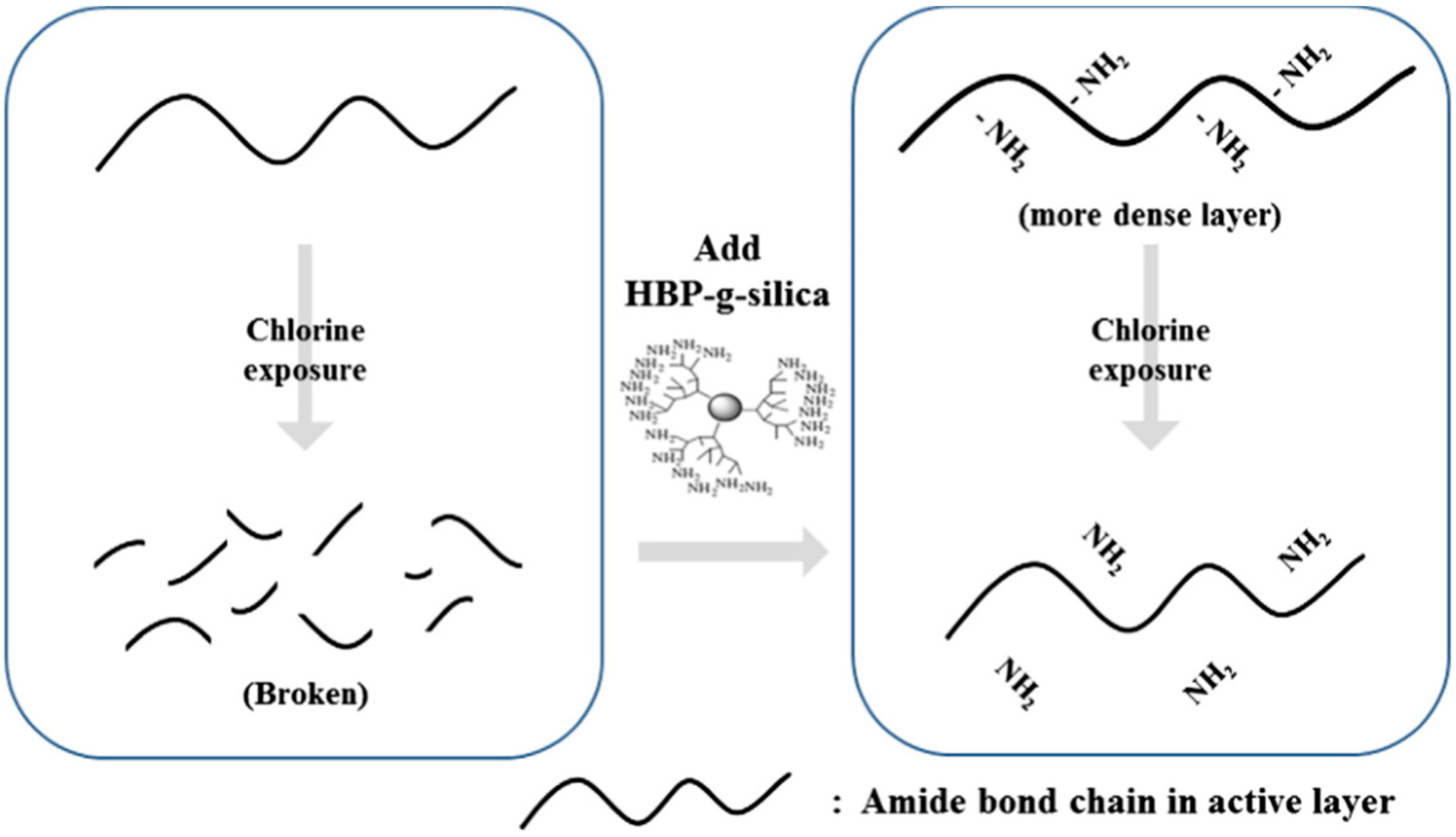 Membranes 08 00068 g004