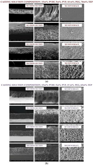 Membranes 08 00071 g002a Membranes 08 00071 g002a