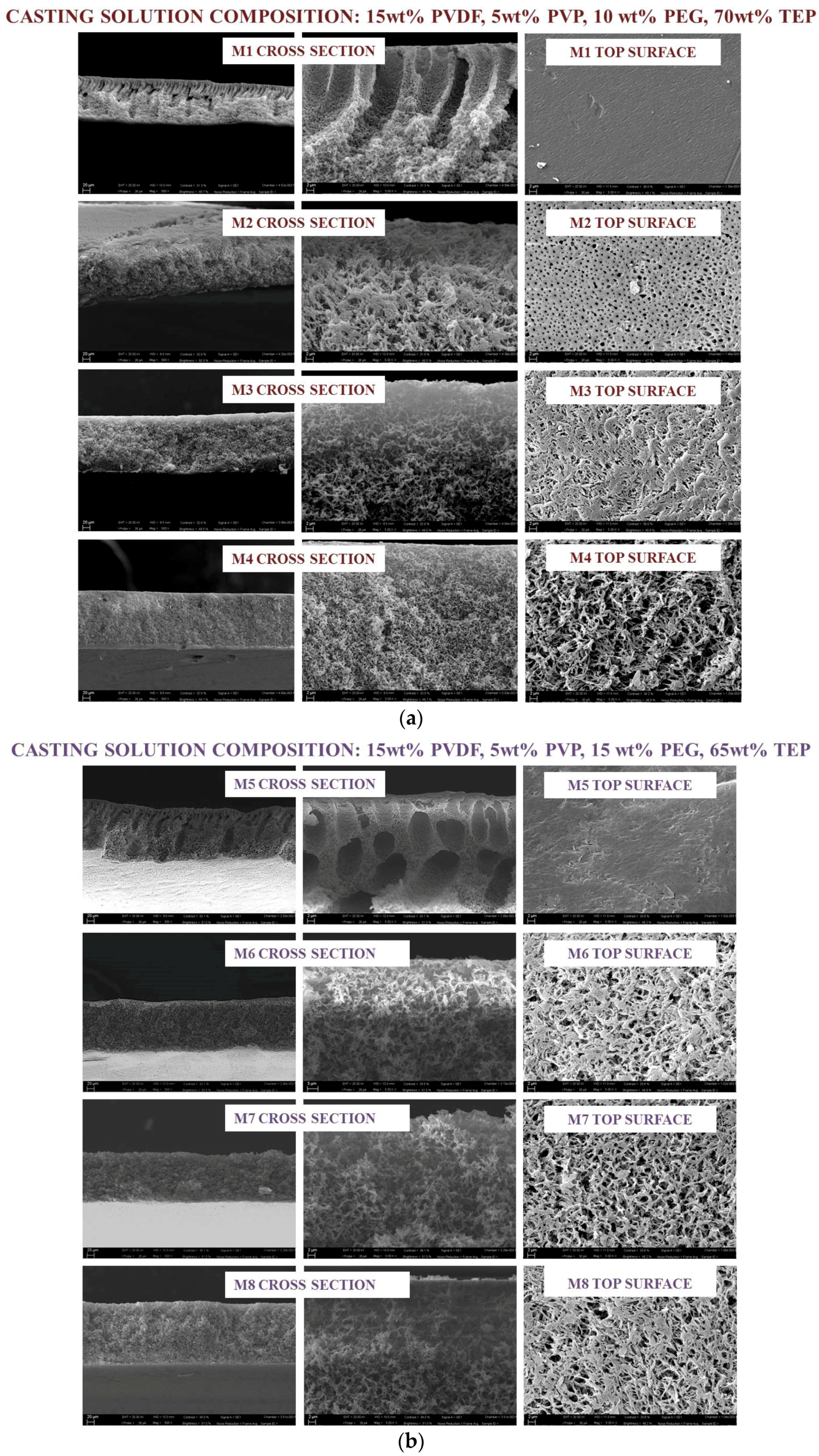 Membranes 08 00071 g002a Membranes 08 00071 g002a