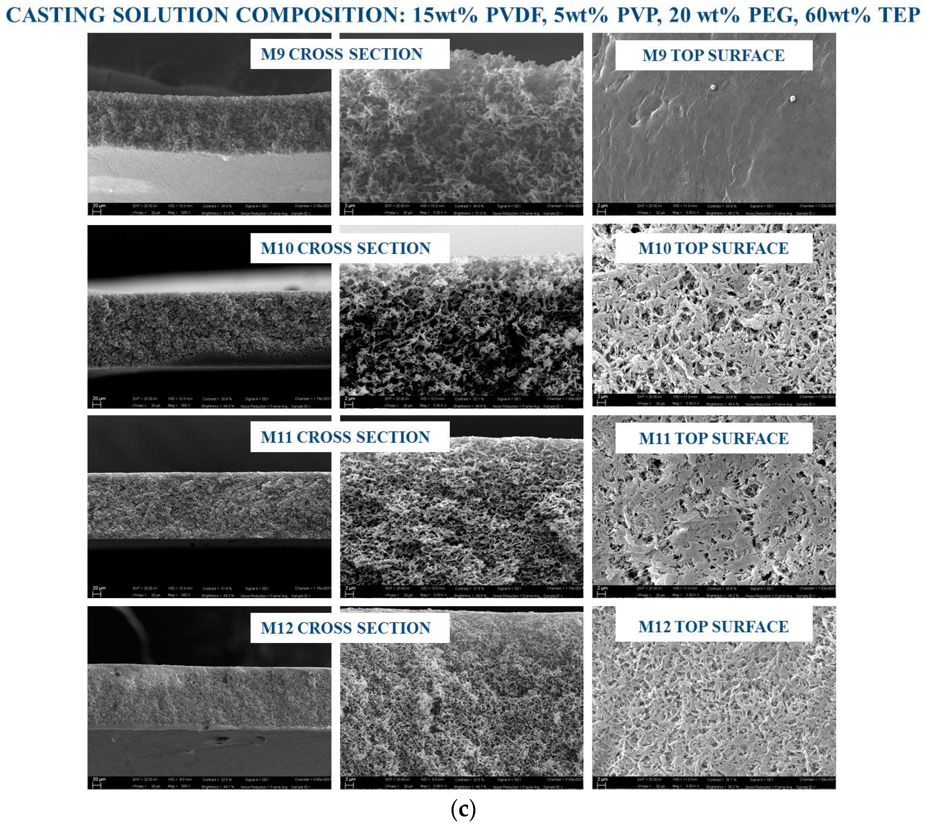 Membranes 08 00071 g002b Membranes 08 00071 g002b