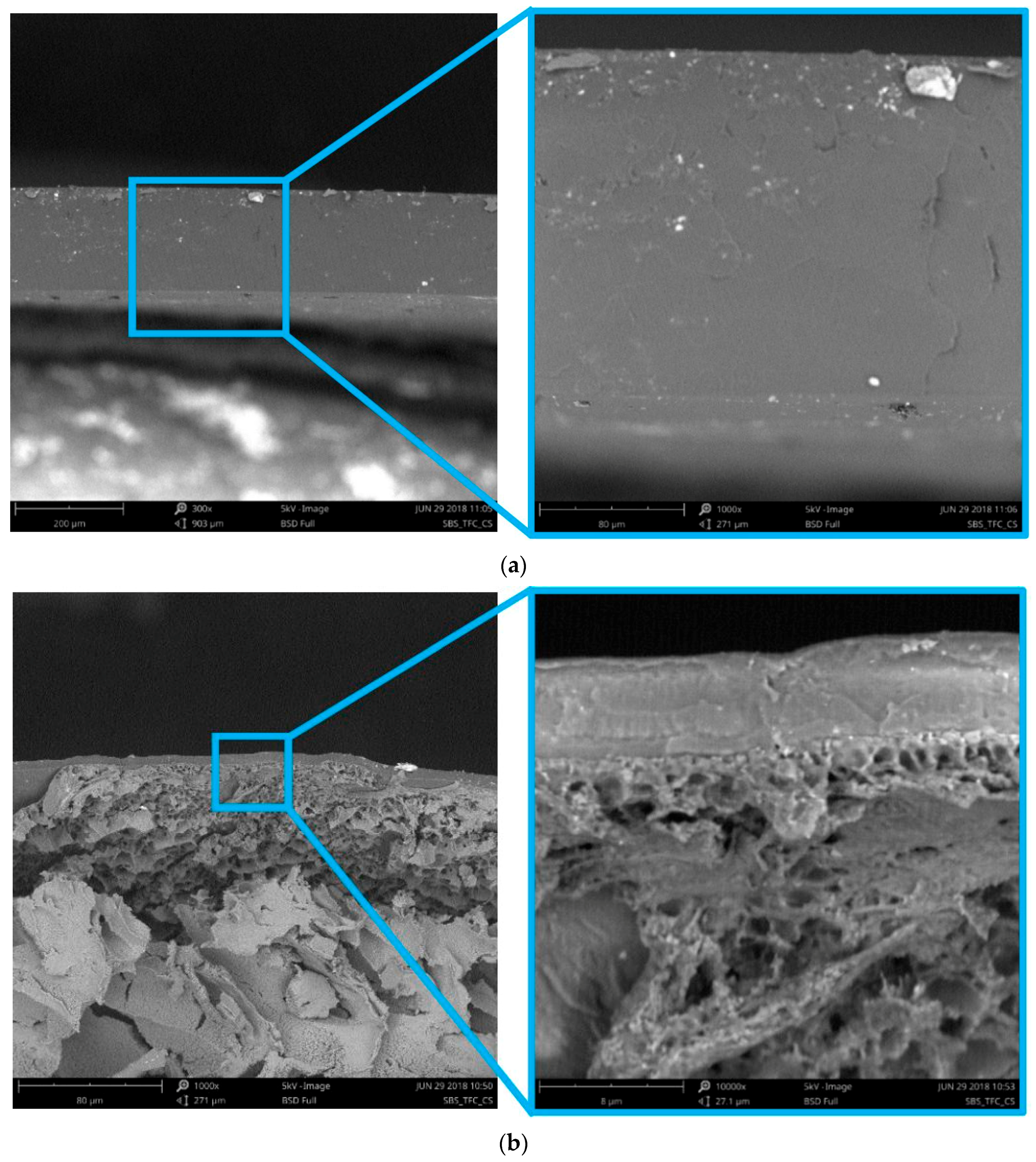 Membranes 08 00073 g002