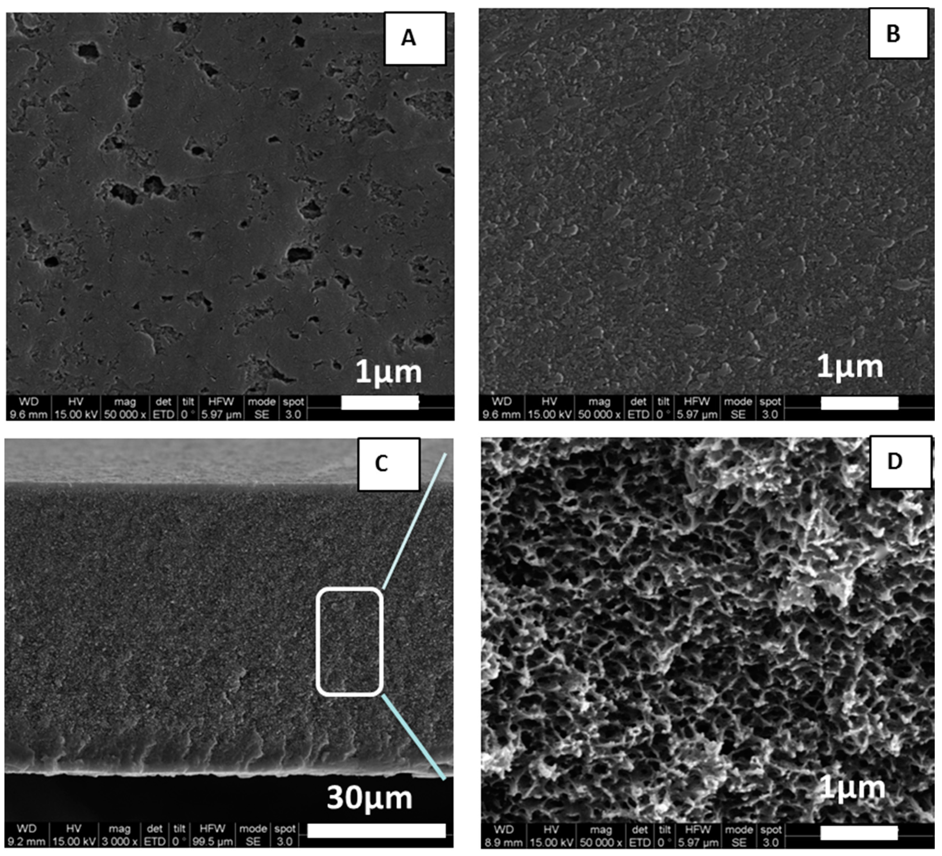 Membranes 08 00075 g002