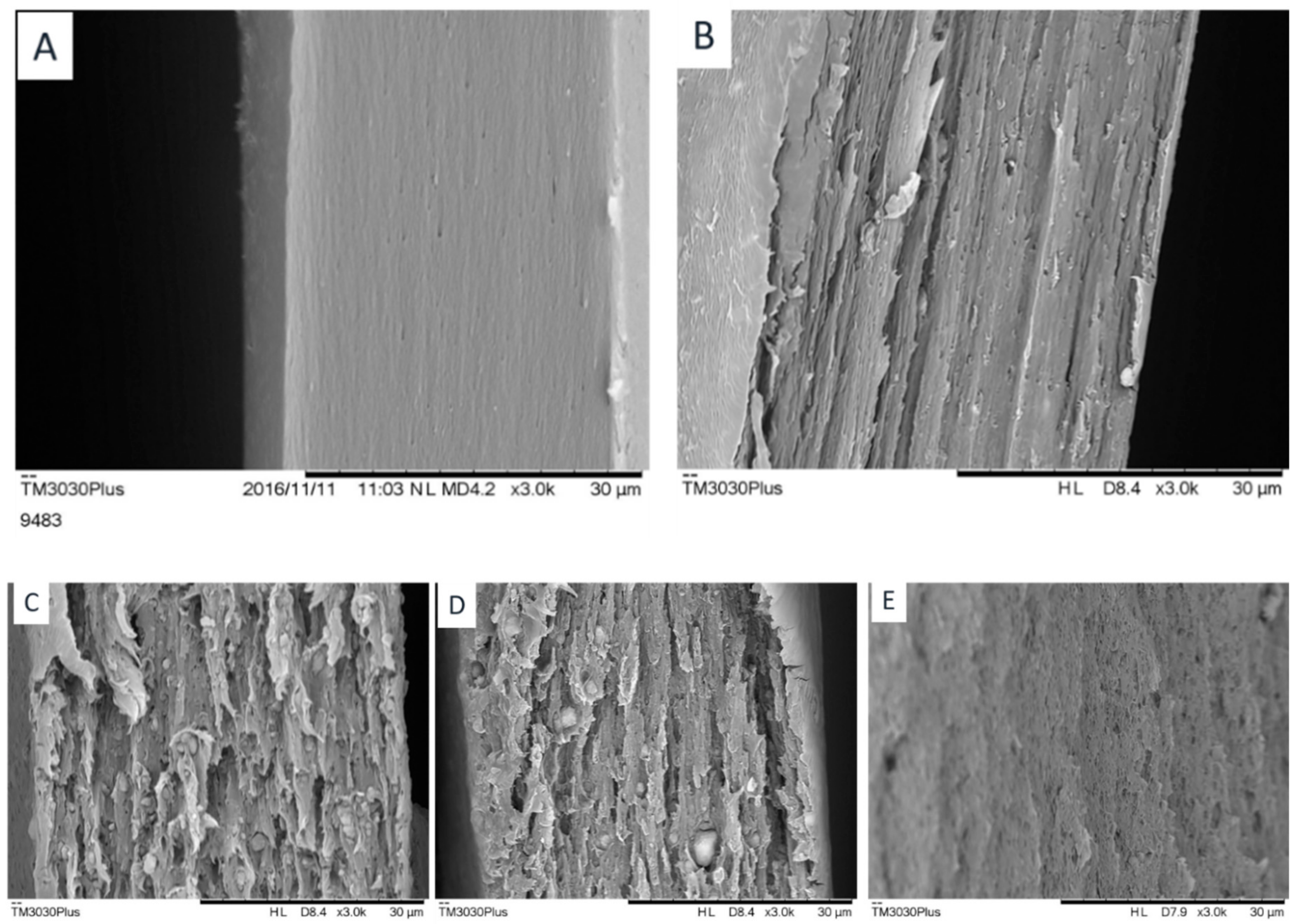 Membranes 08 00076 g006