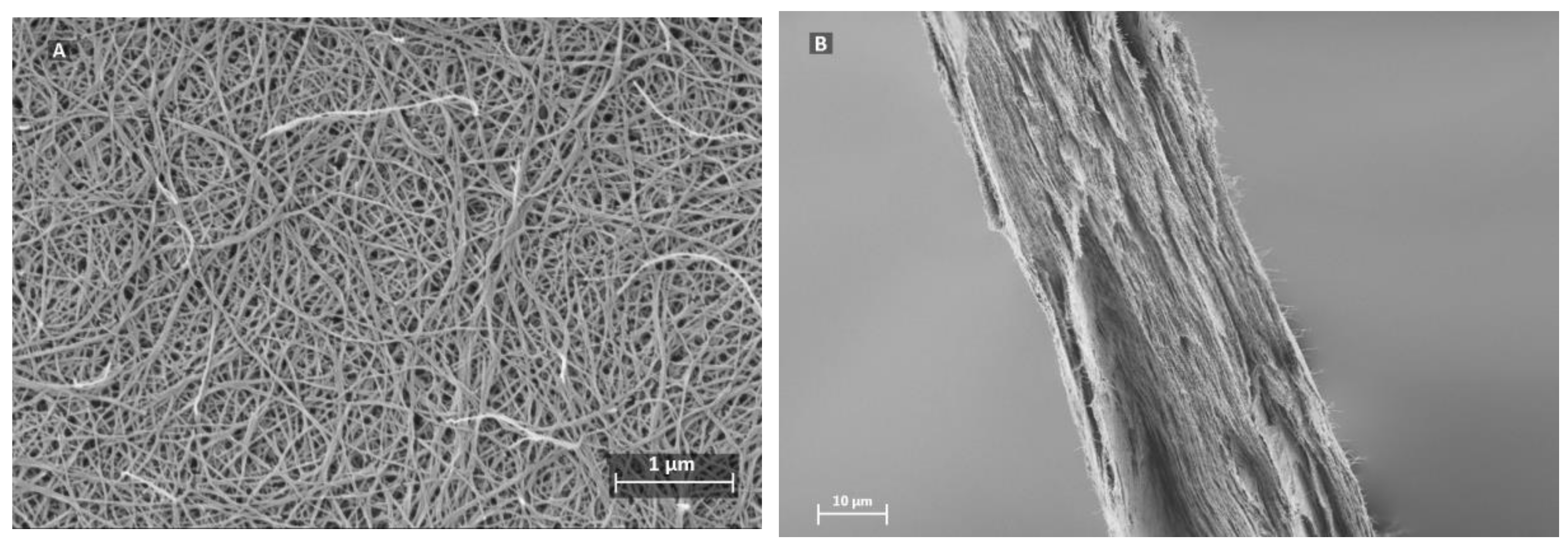 Membranes 08 00090 g001