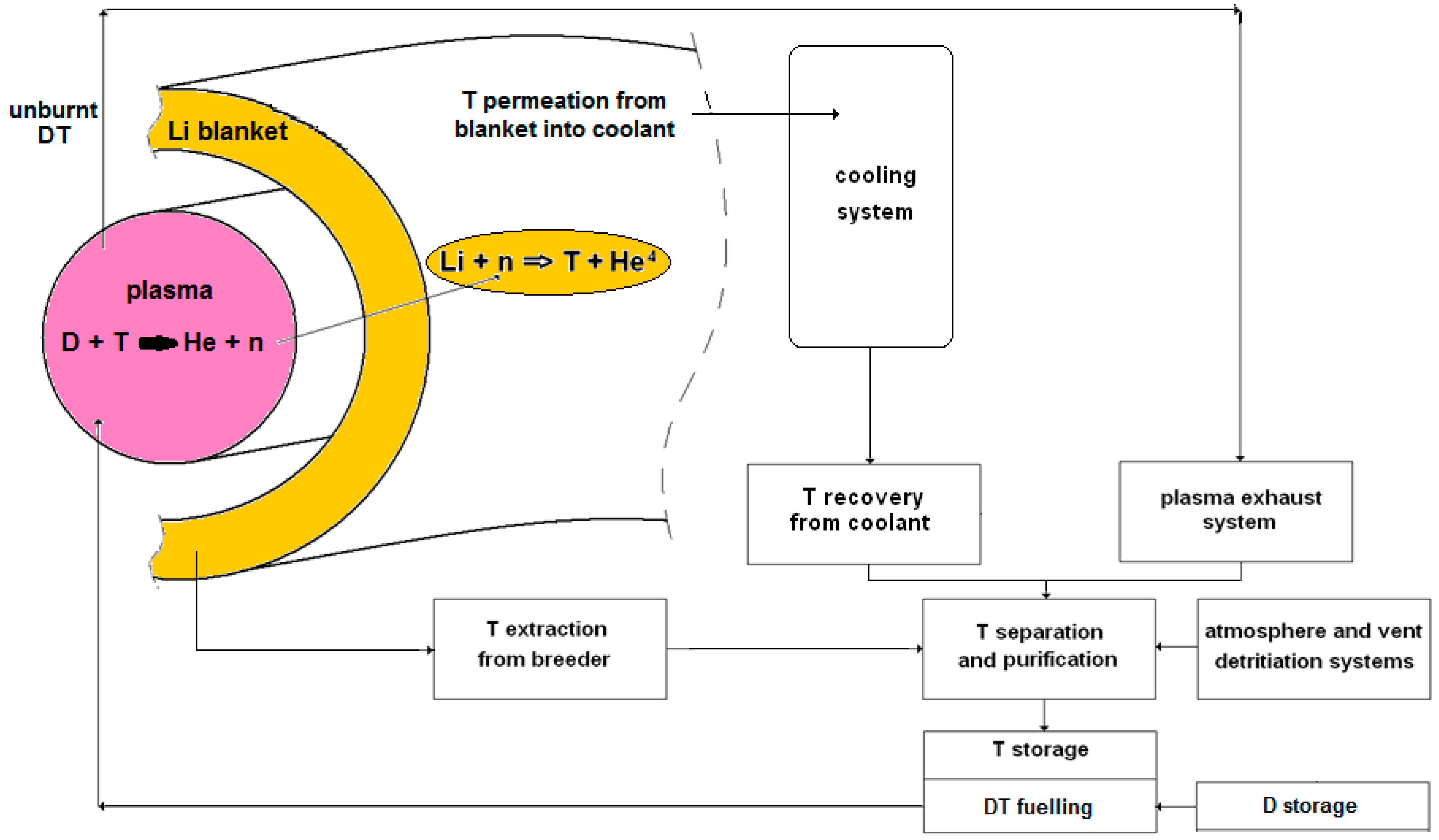 Membranes 08 00096 g002