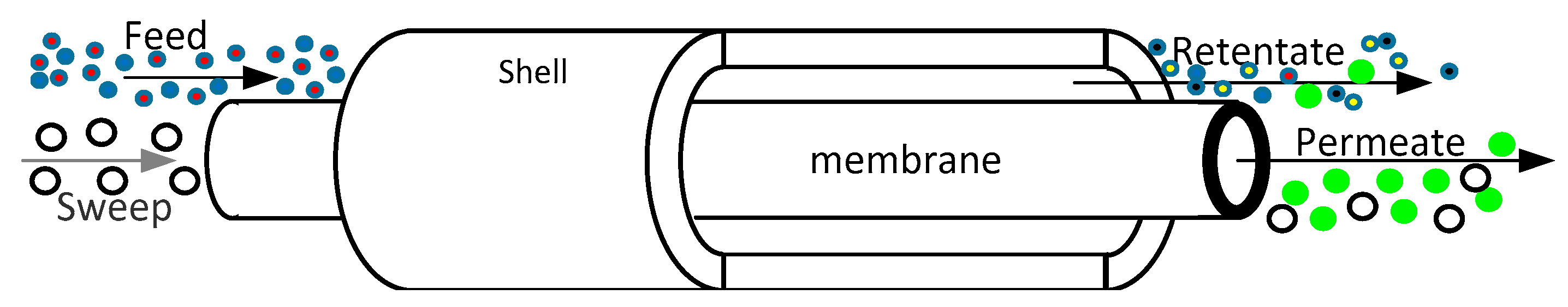 Membranes 08 00098 g012