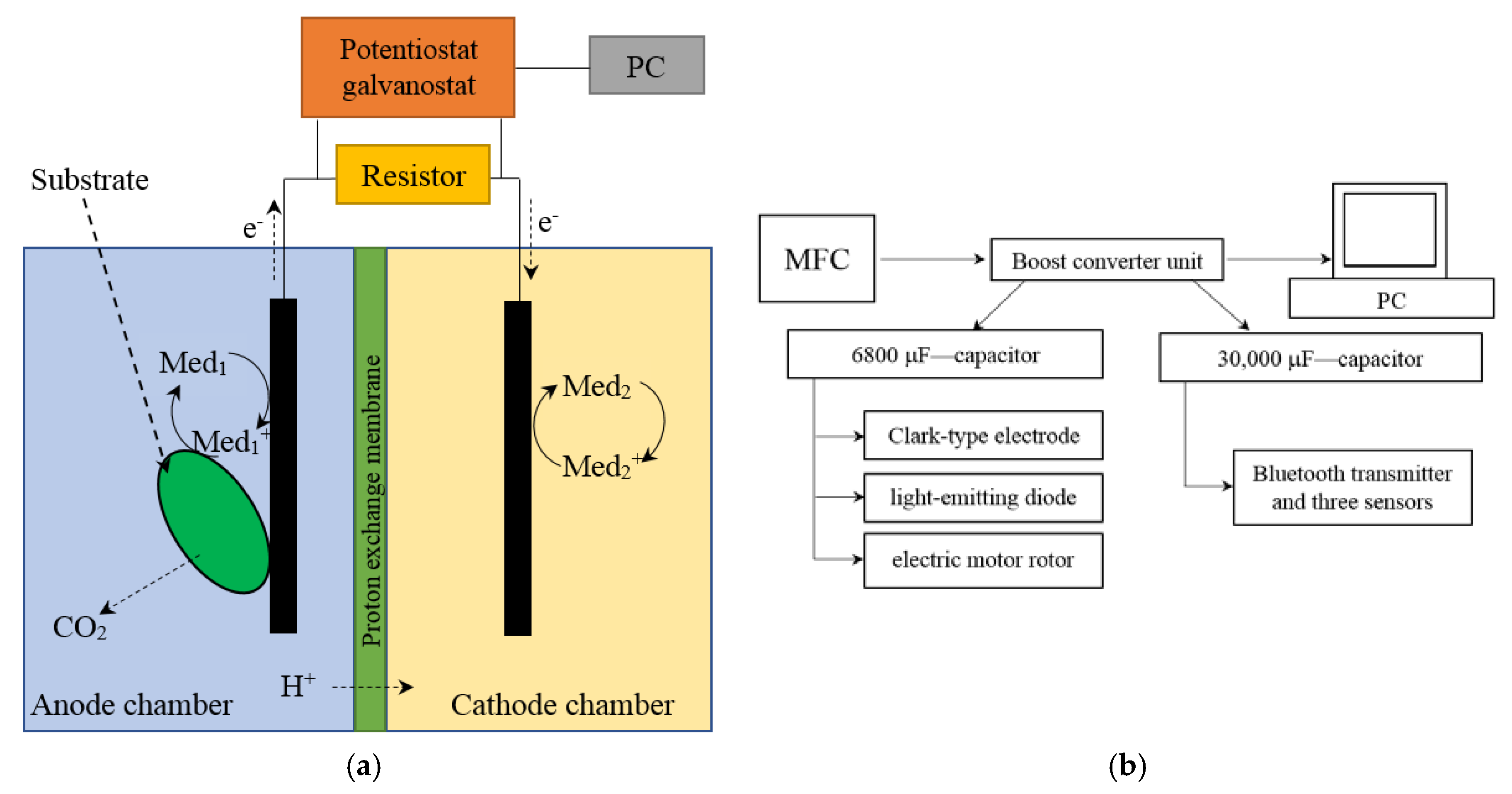 Membranes 08 00099 g001