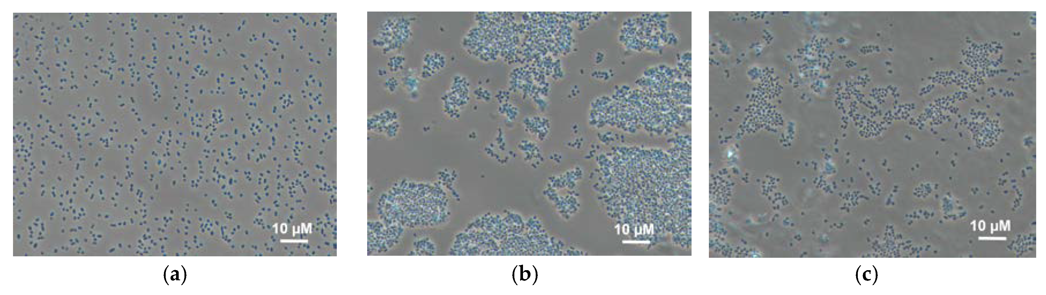 Membranes 08 00099 g003