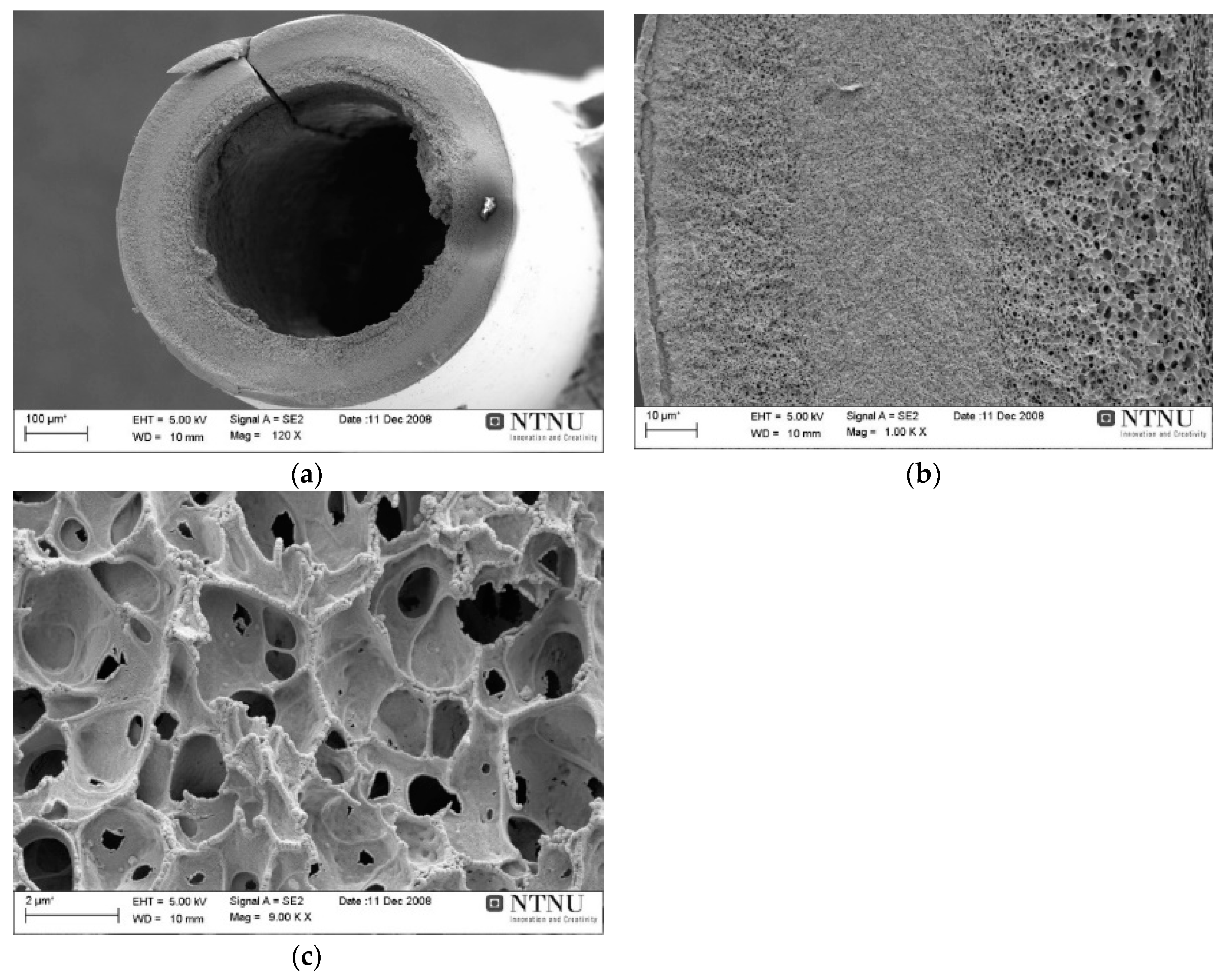 Membranes 08 00105 g008 Membranes 08 00105 g008