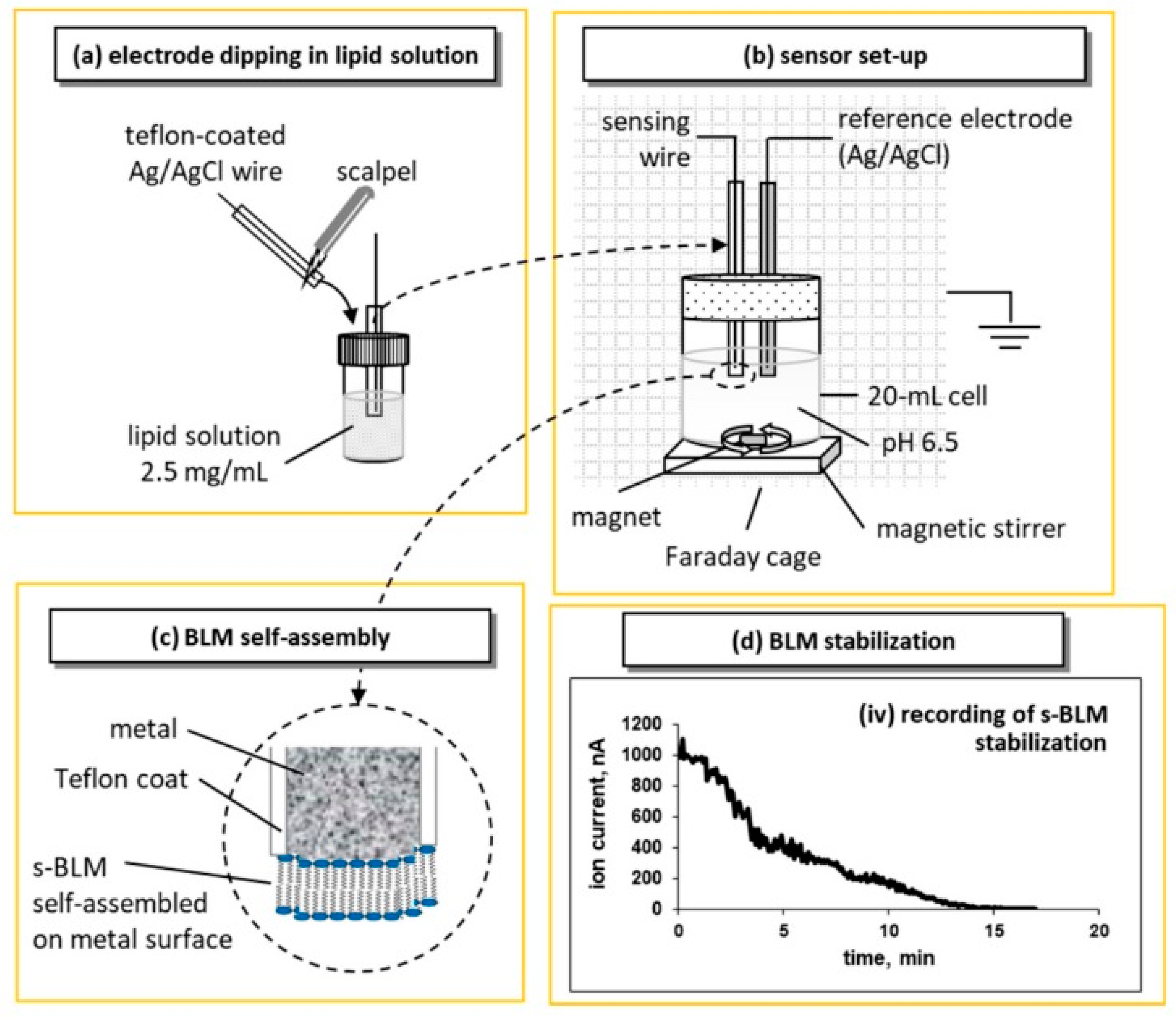 Membranes 08 00108 g001