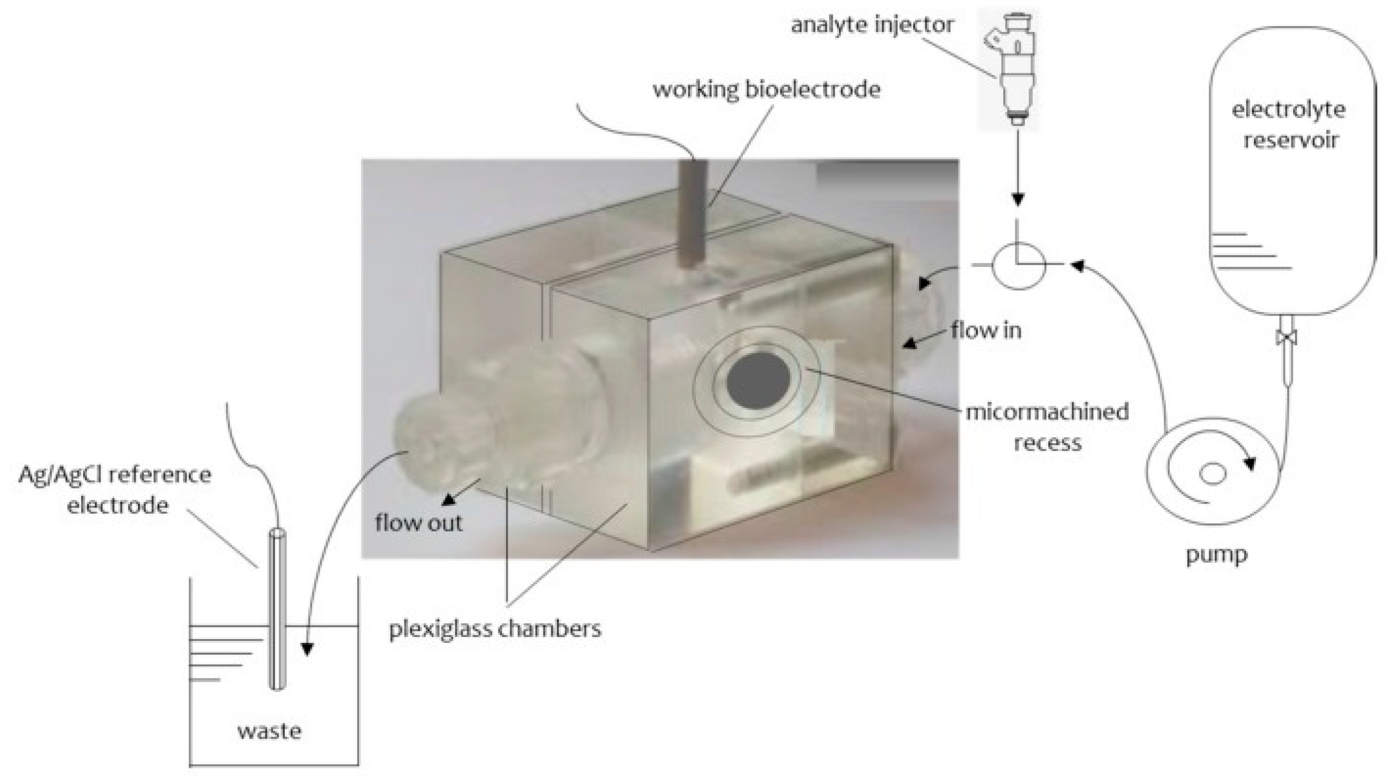 Membranes 08 00108 g002