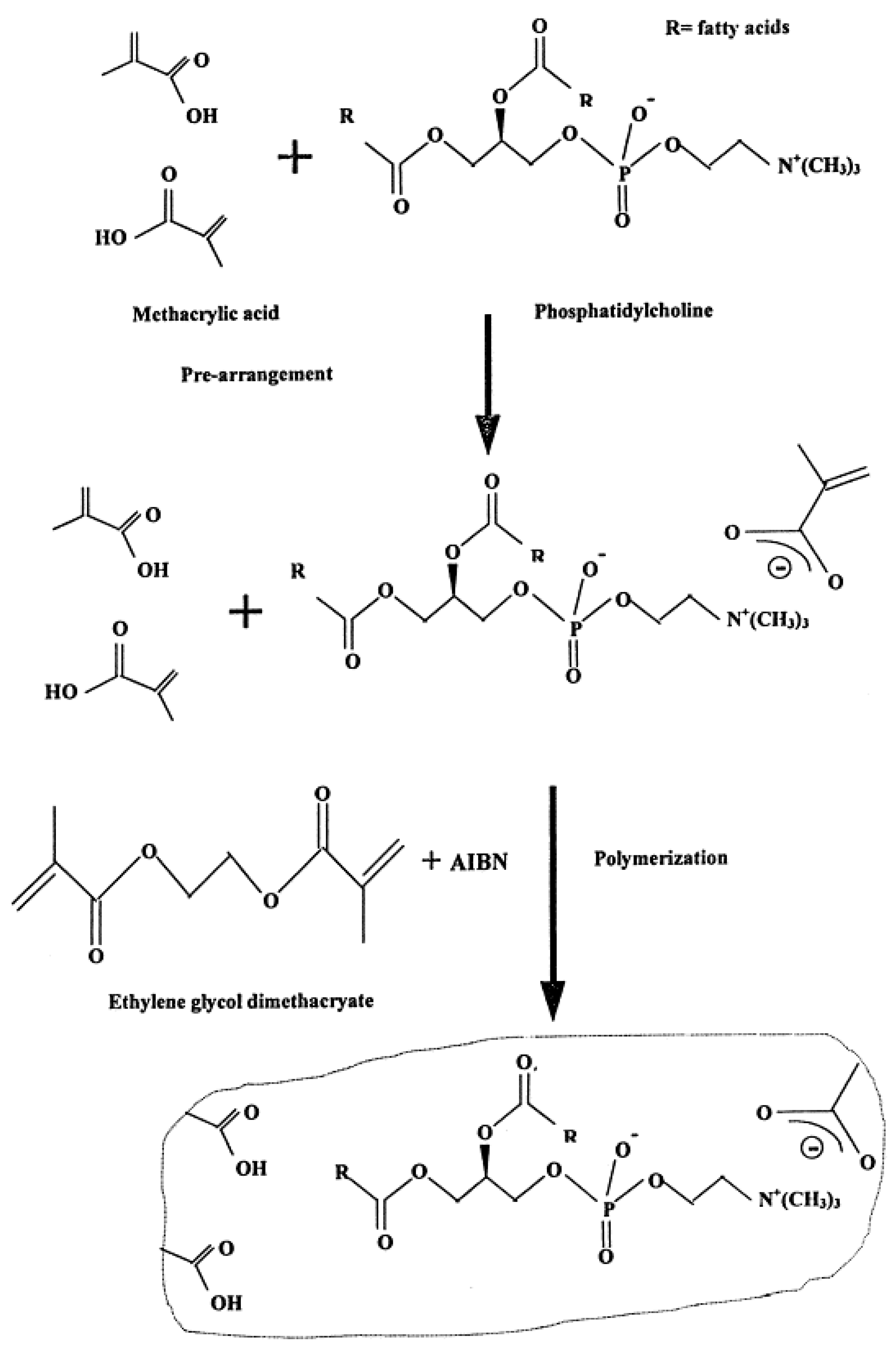 Membranes 08 00108 g003
