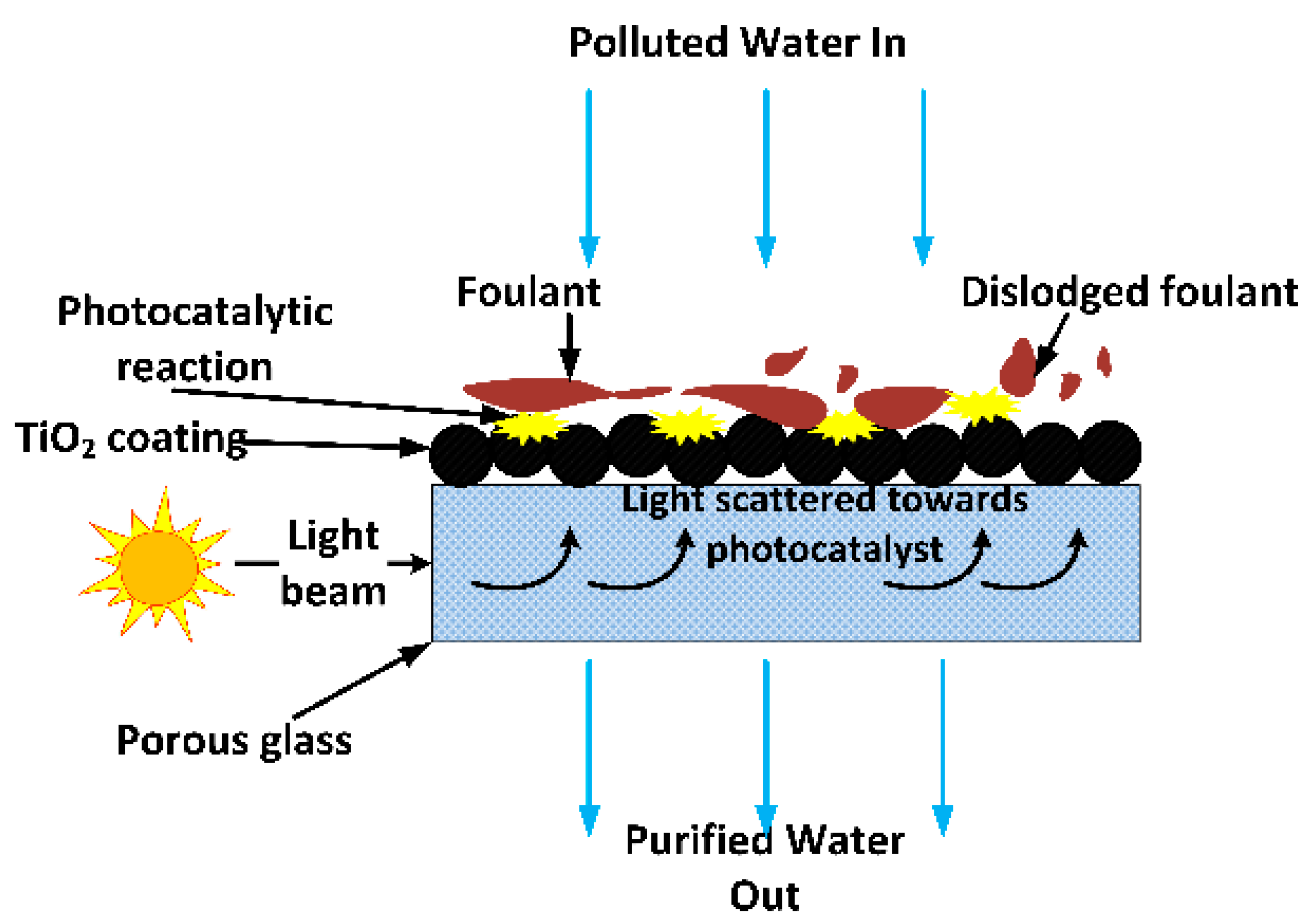 Membranes 08 00122 g001