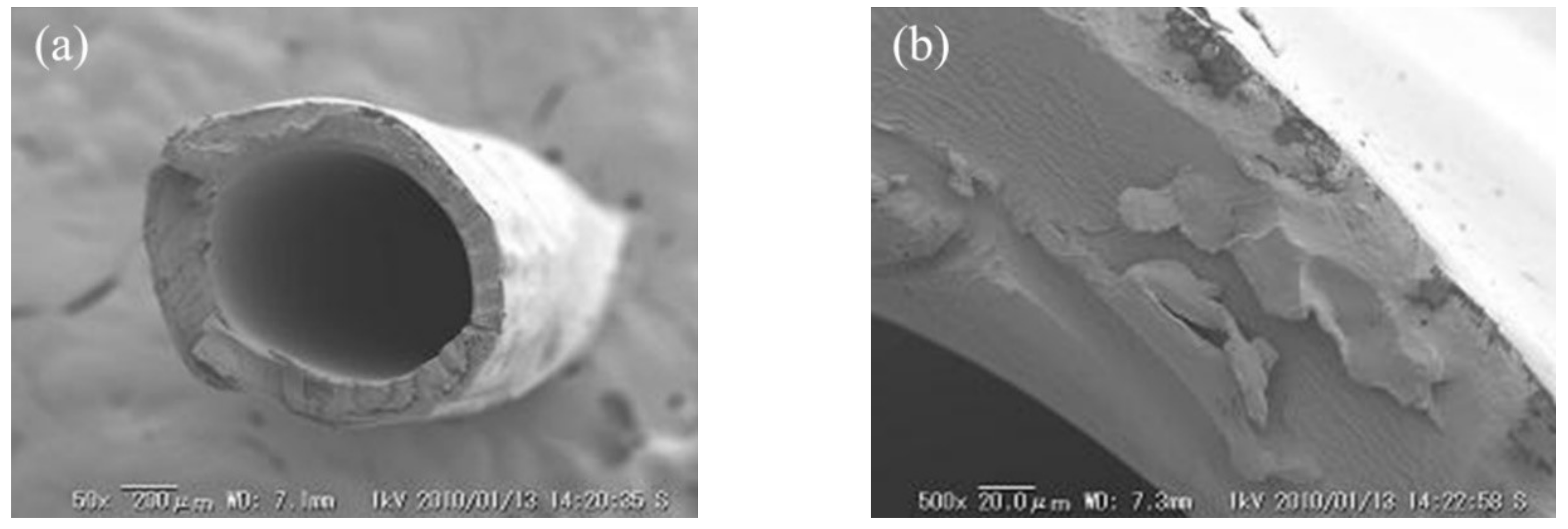Membranes 09 00004 g007