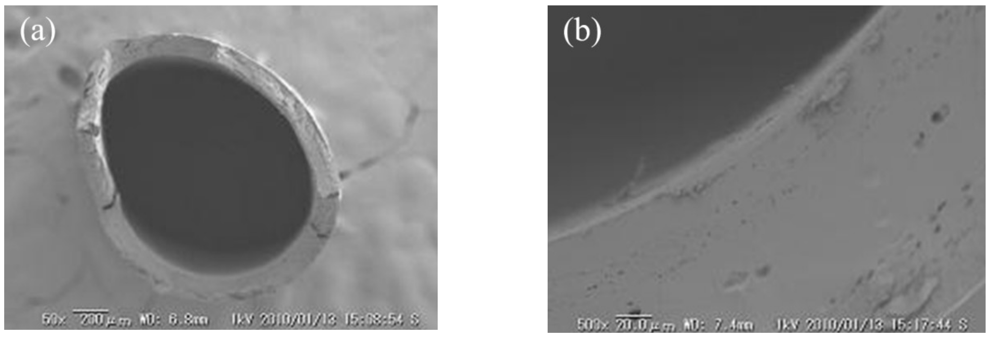 Membranes 09 00004 g008