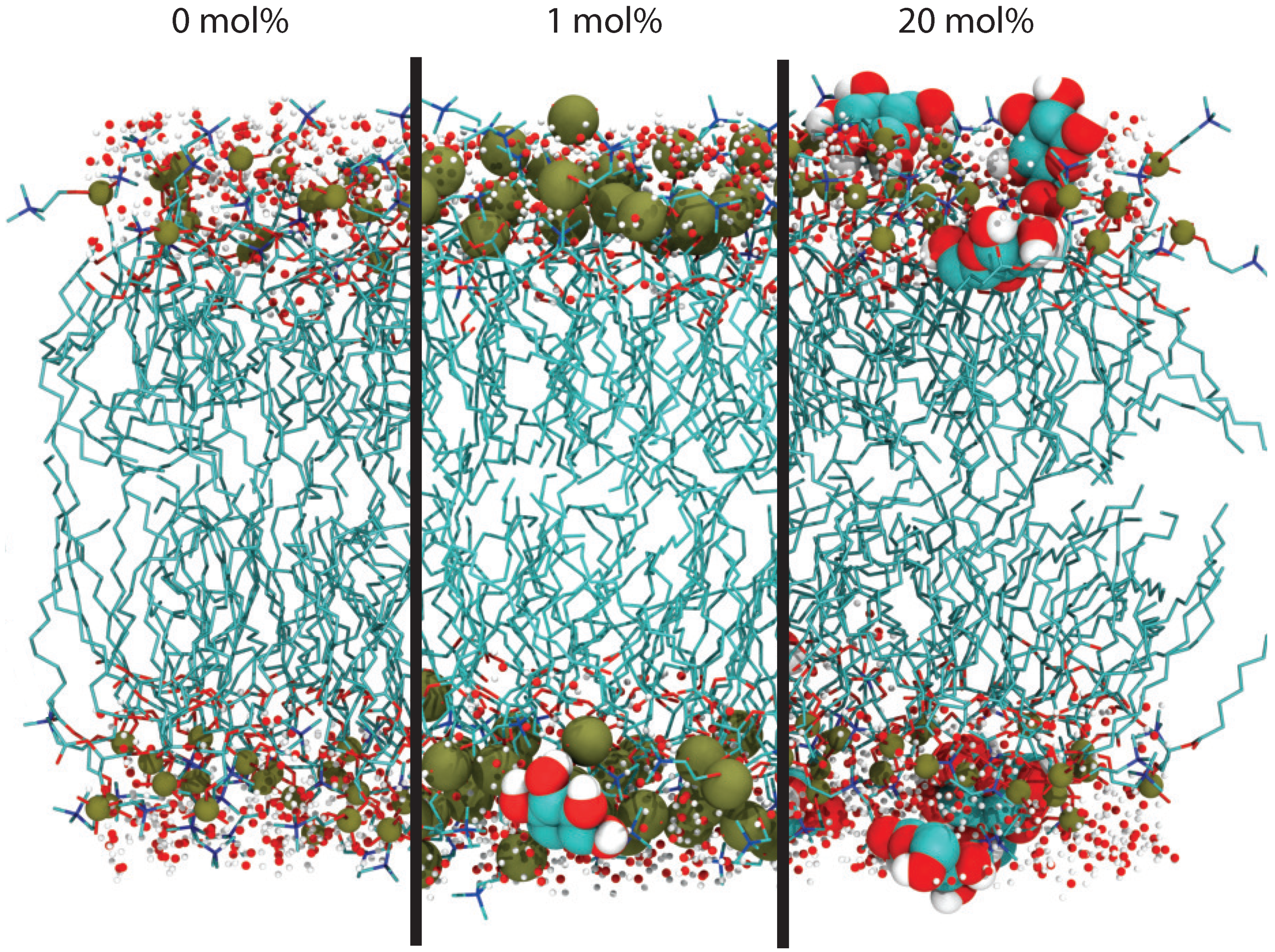 Membranes 09 00015 g003