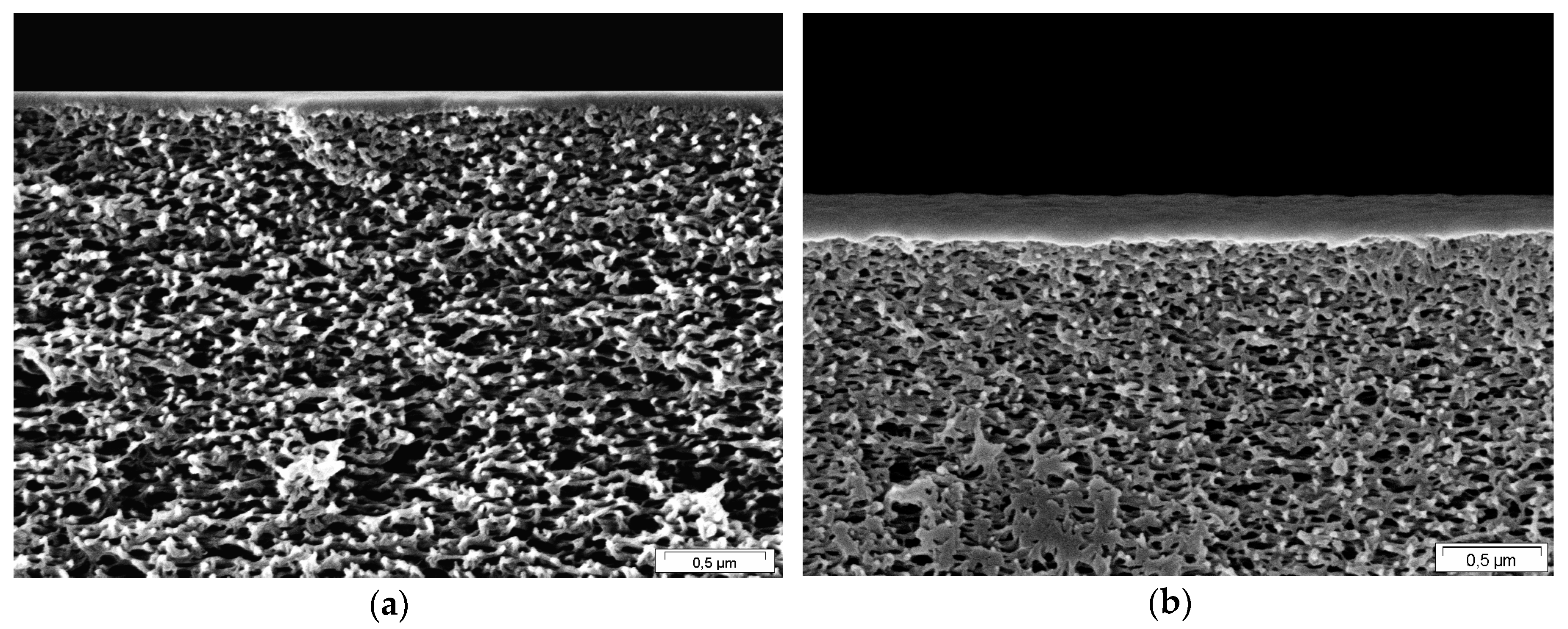 Membranes 09 00022 g008