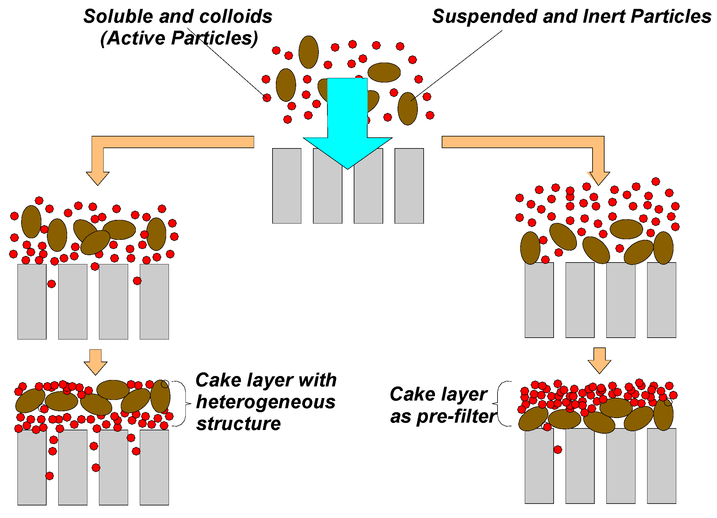 Membranes 09 00024 g004